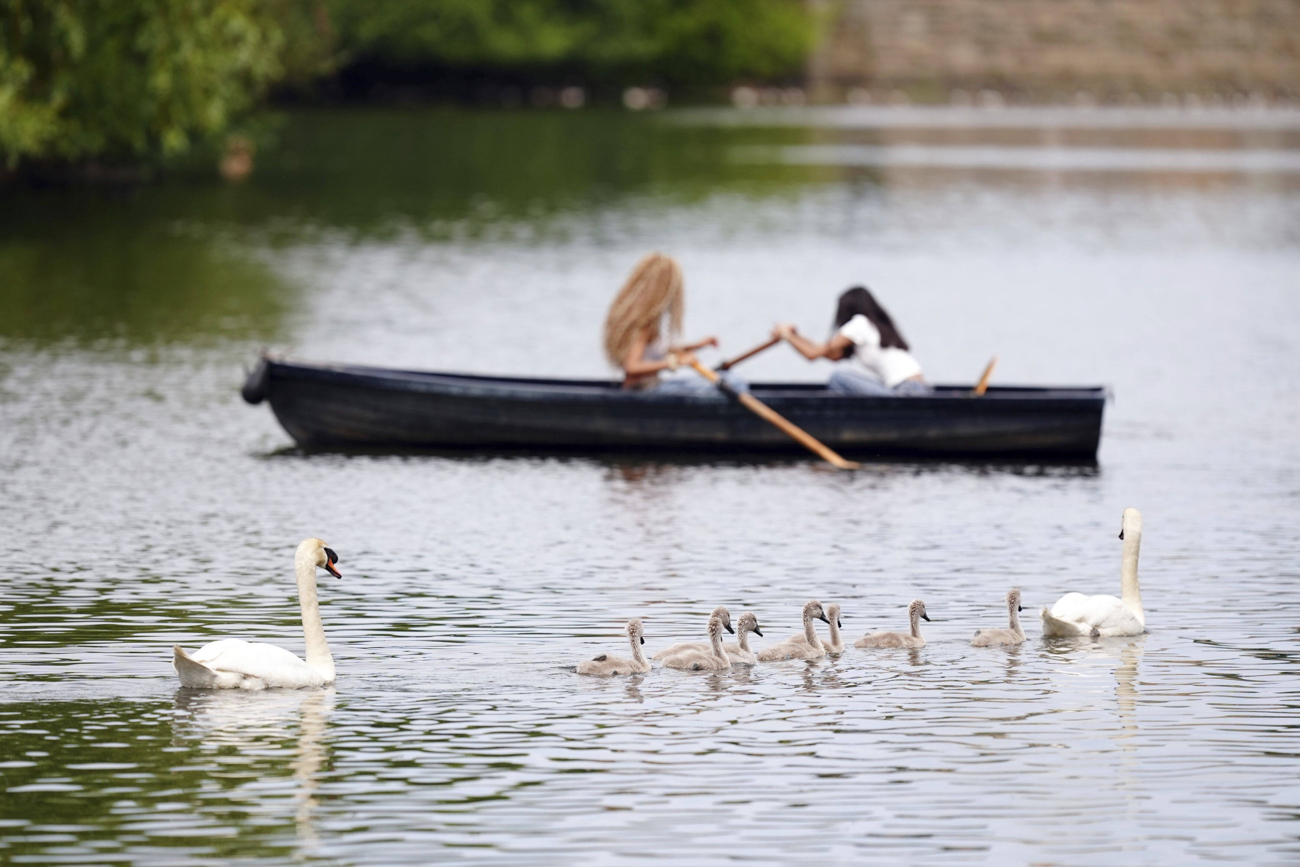 Health officials issue warnings as UK bakes in first heatwave of 2025