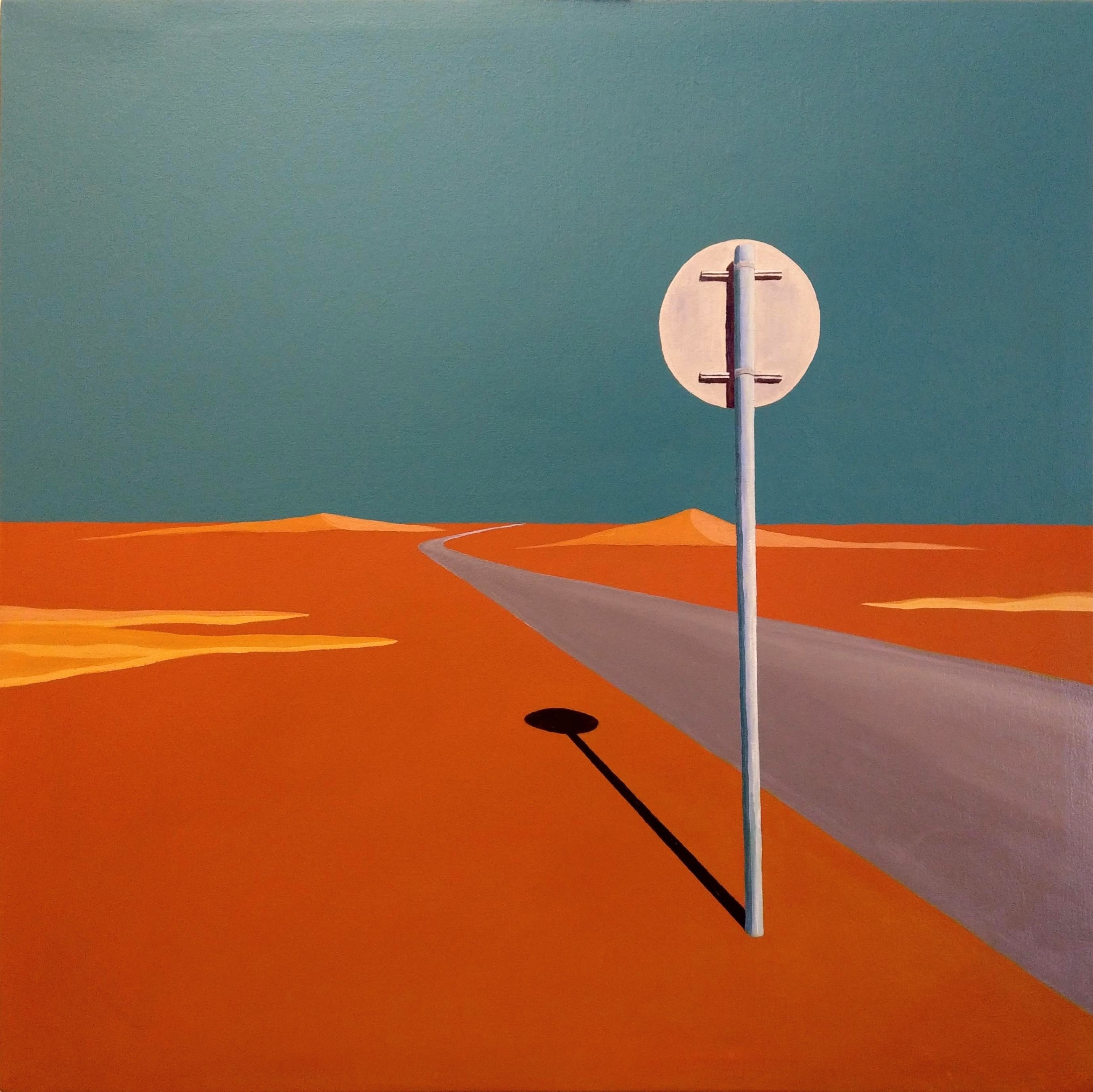 Canvas and sky: Reputed artist Andrew Thompson is also an aircraft engineer