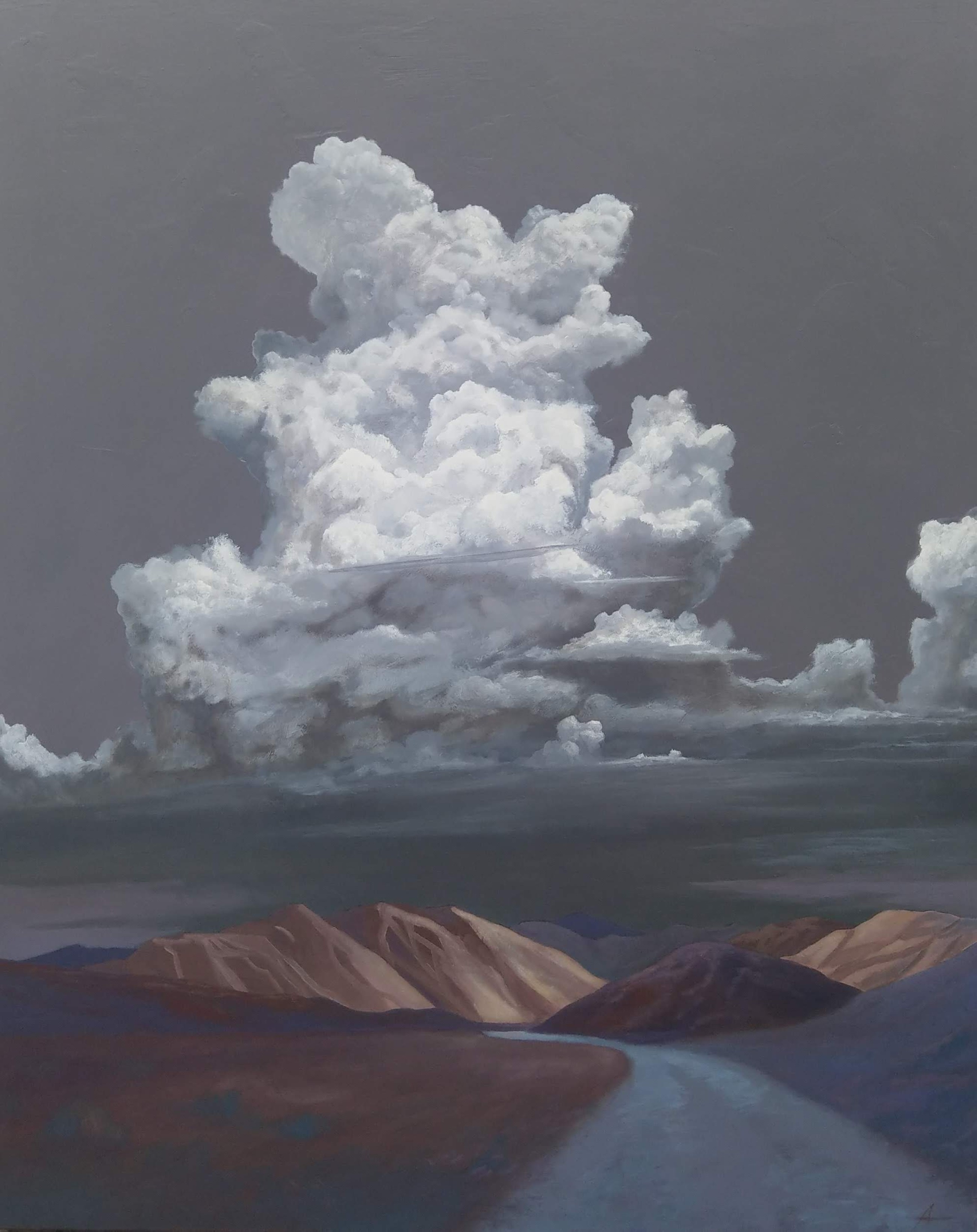 Canvas and sky: Reputed artist Andrew Thompson is also an aircraft engineer