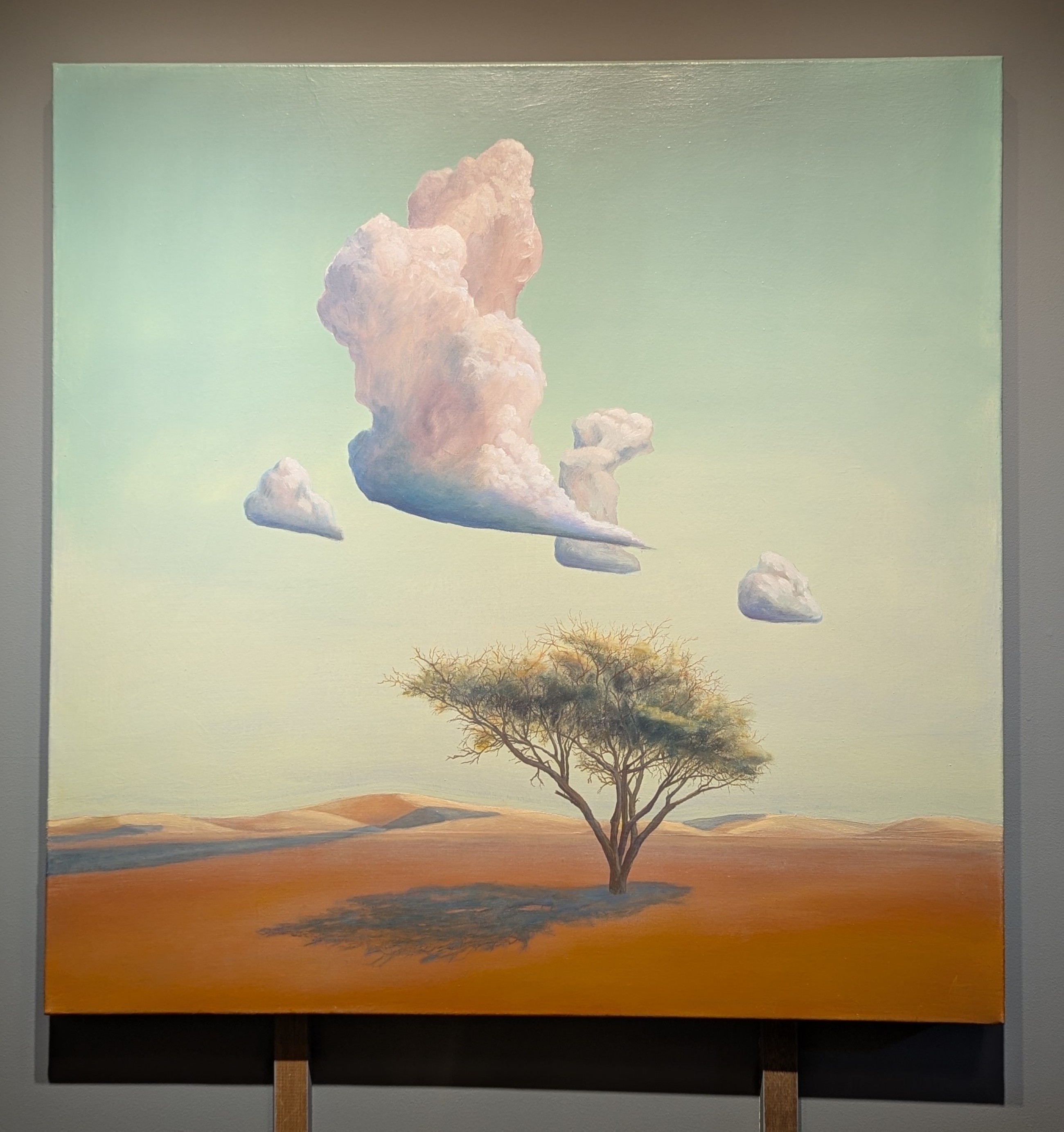 Canvas and sky: Reputed artist Andrew Thompson is also an aircraft engineer
