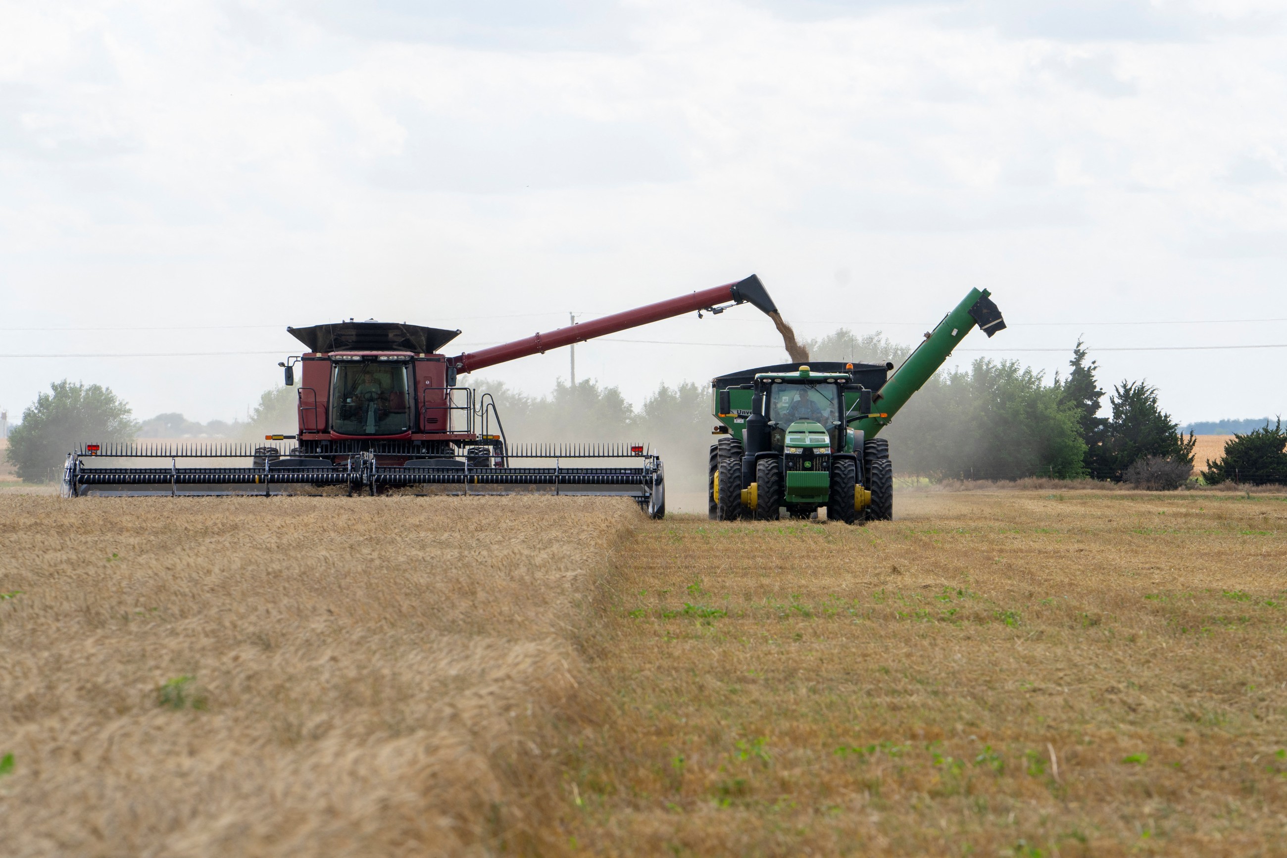America’s wheat growing is on a steady decline