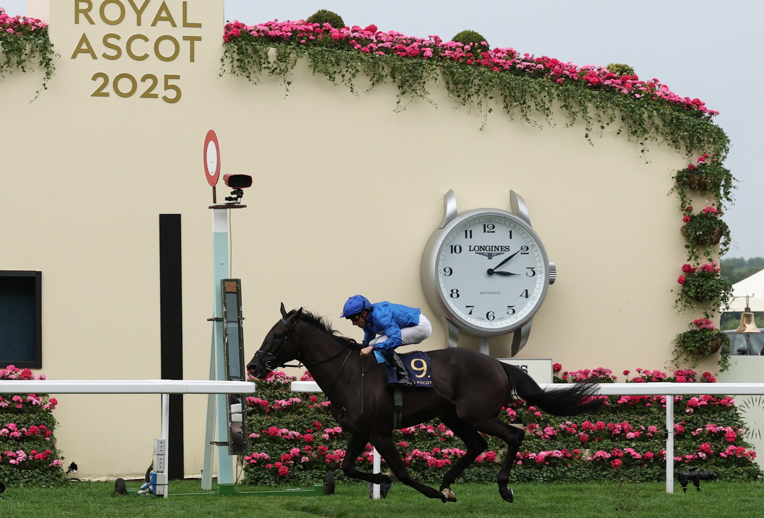 Rebel’s Romance continues courtship with Royal Ascot