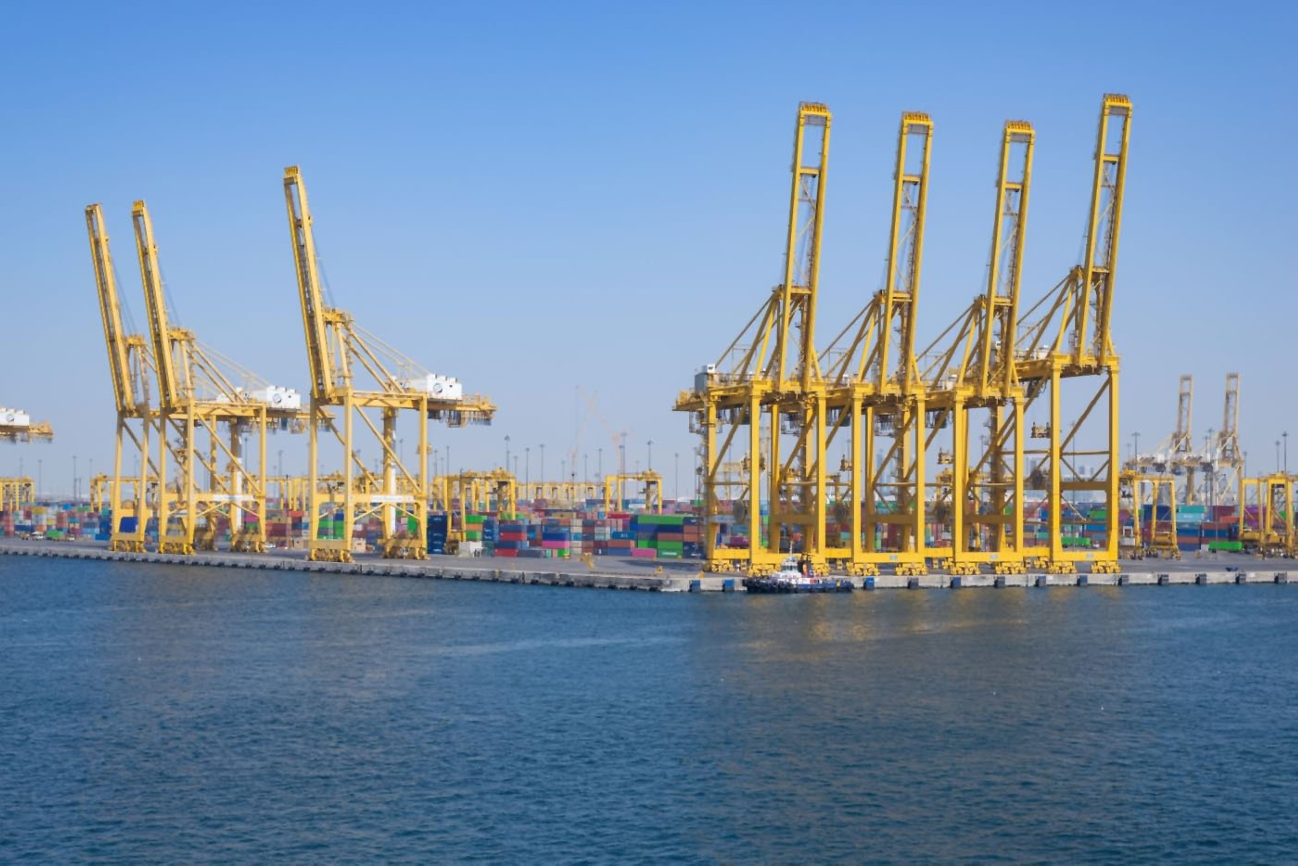 UAE advances as global maritime power through system of legislation, investments