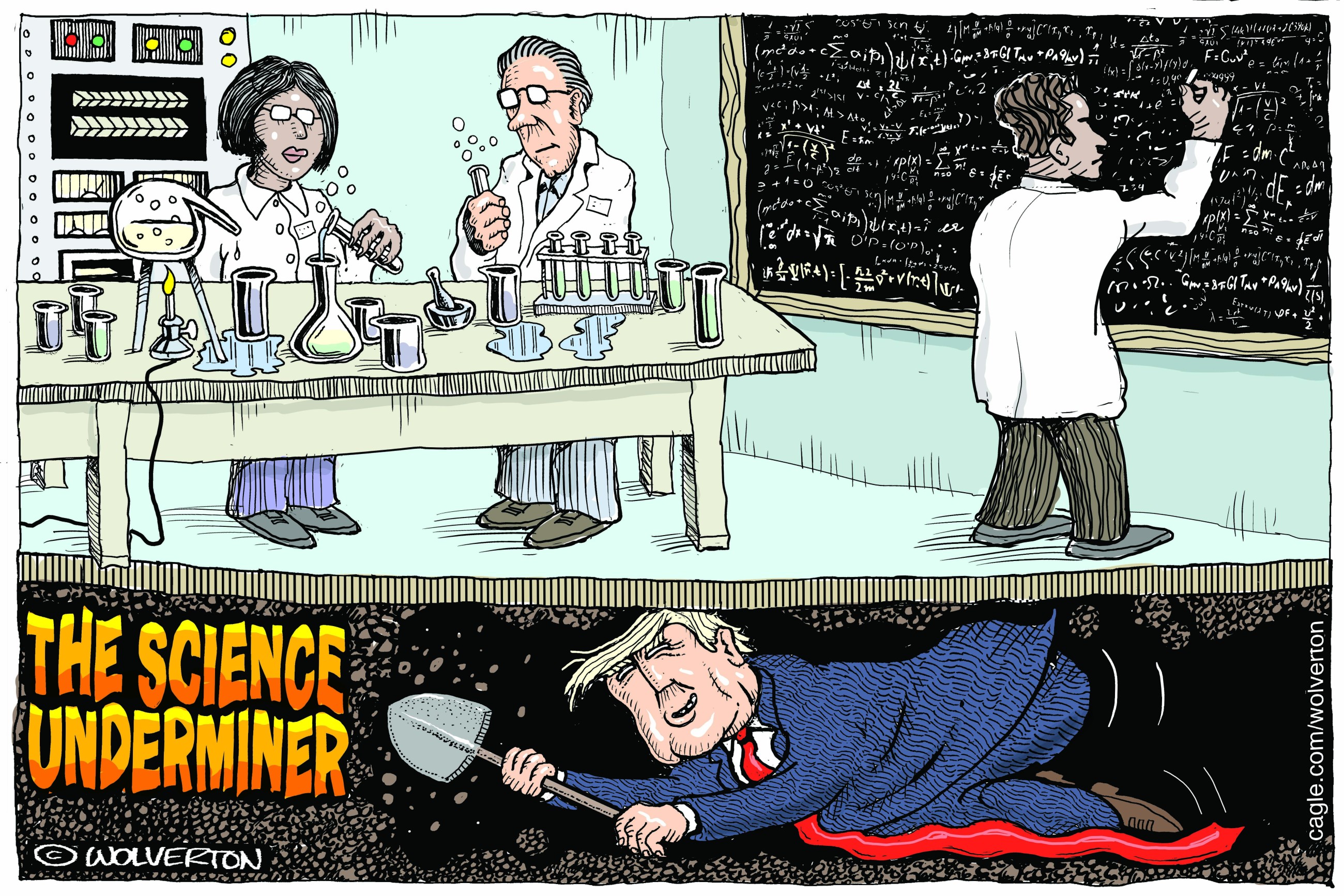 Trump at work