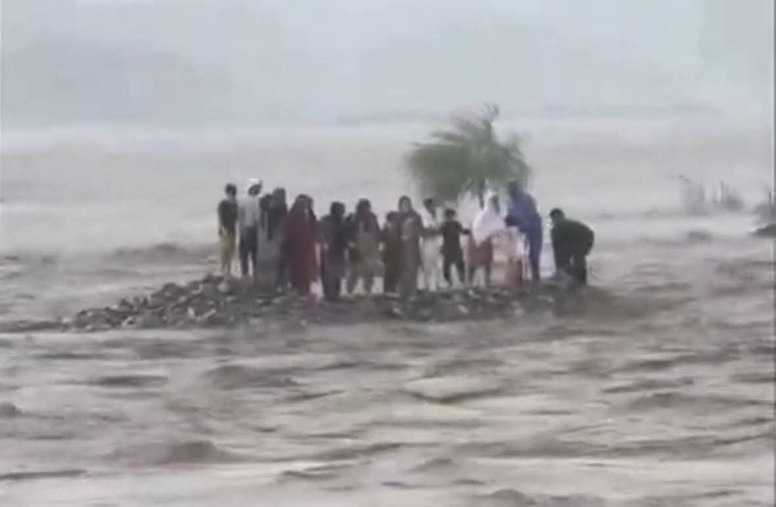 VIDEO: Nine dead, many missing as floodwaters sweep away 18 from same family in Pakistan's Swat Valley