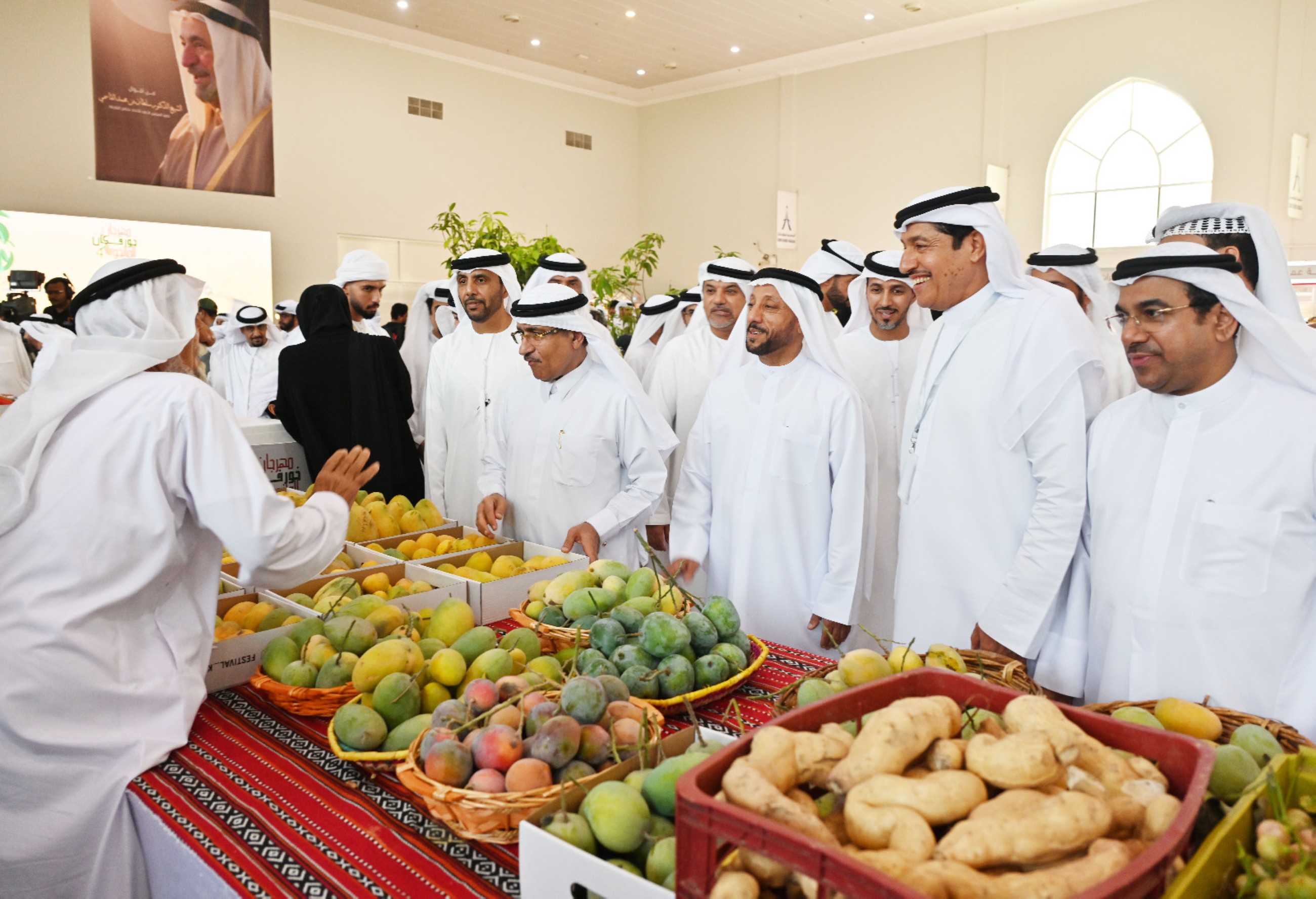 Khorfakkan festival displays over 150 varieties of mangoes