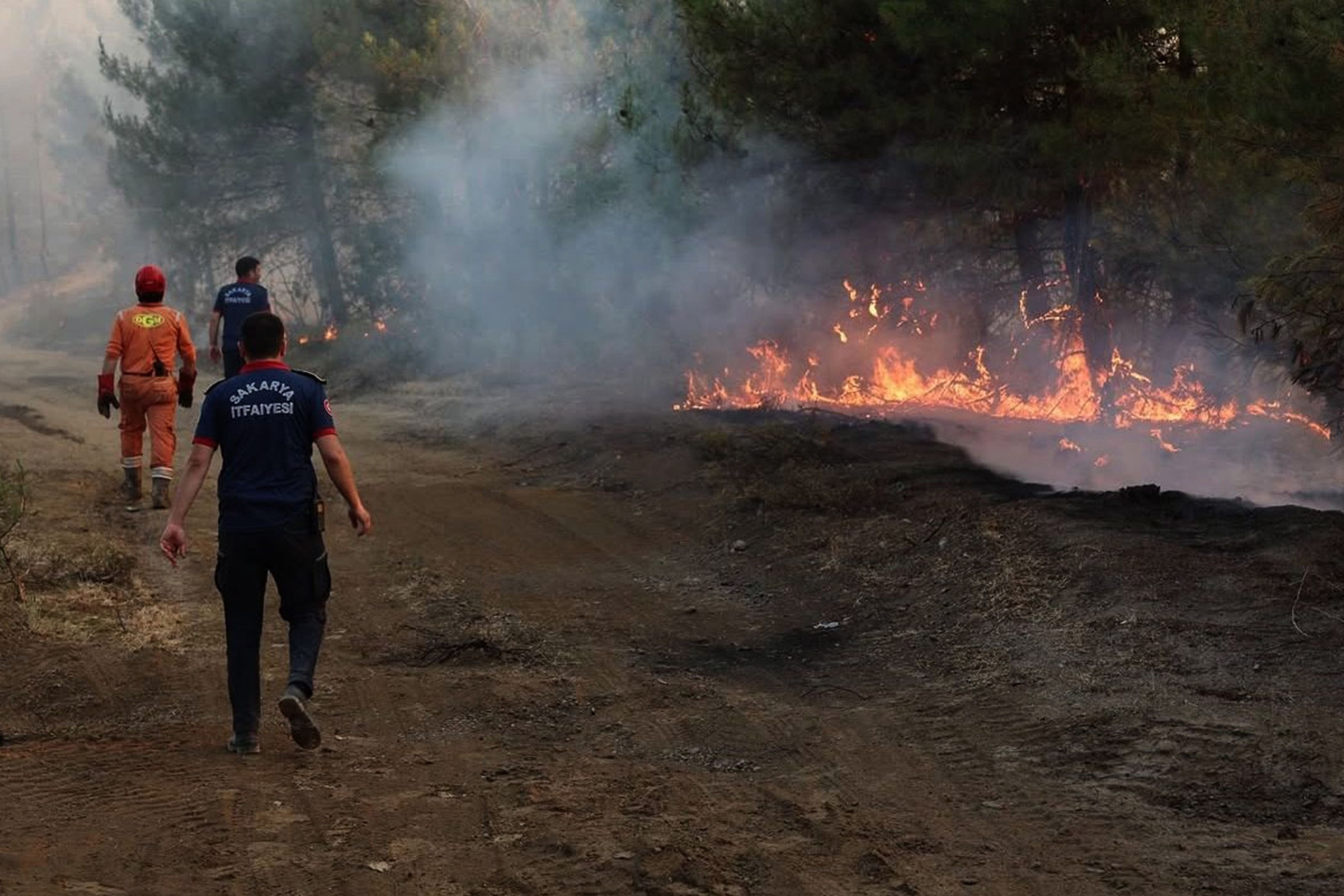 Turkey evacuates over 50,000 people from regions affected by wildfires