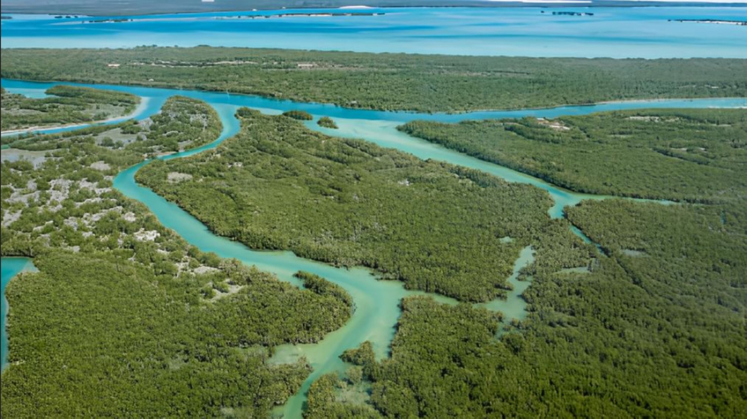 Abu Dhabi agency receives 2nd Carbon Neutrality Certification