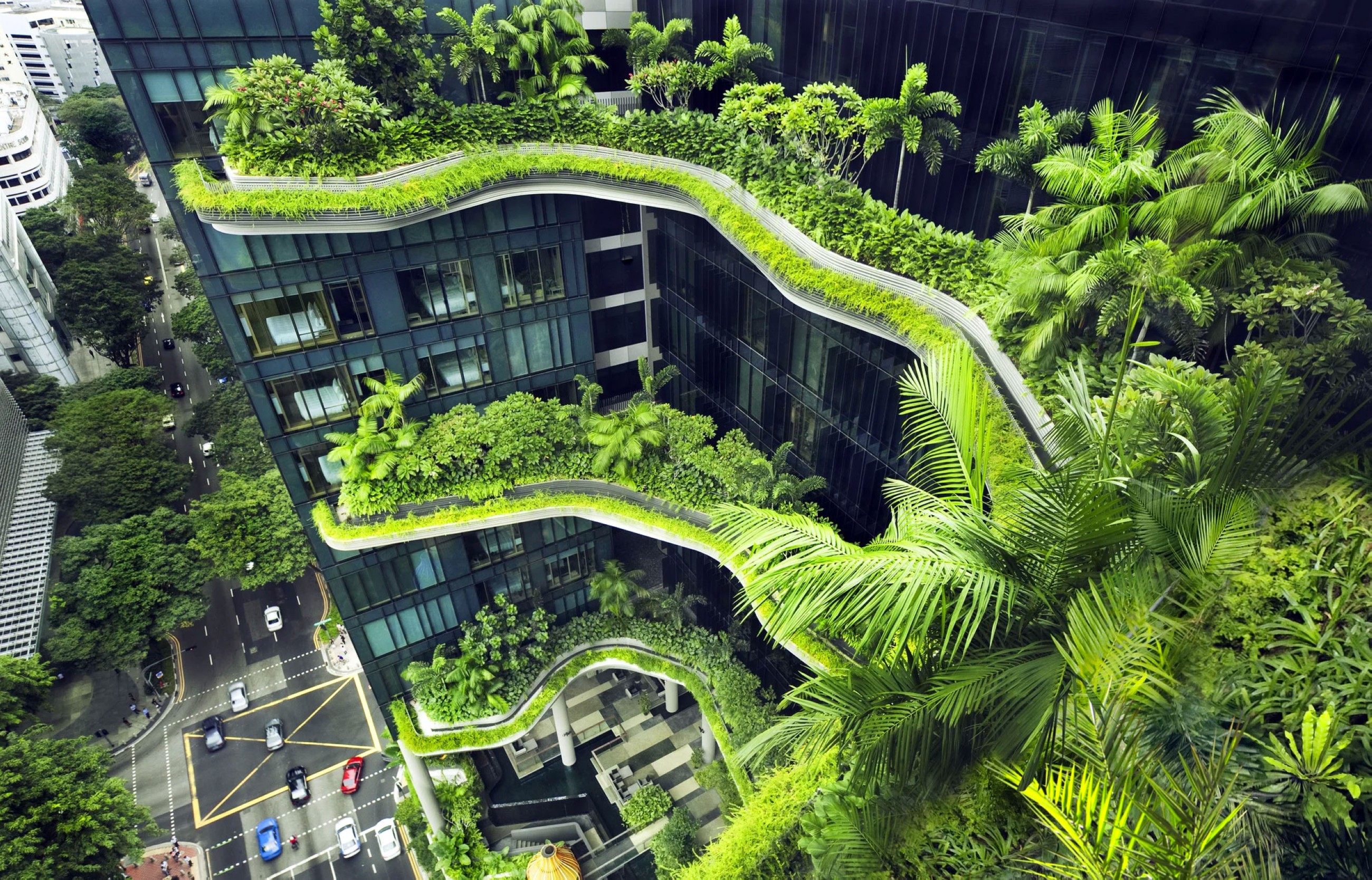 Proper urban green space placing could save lives