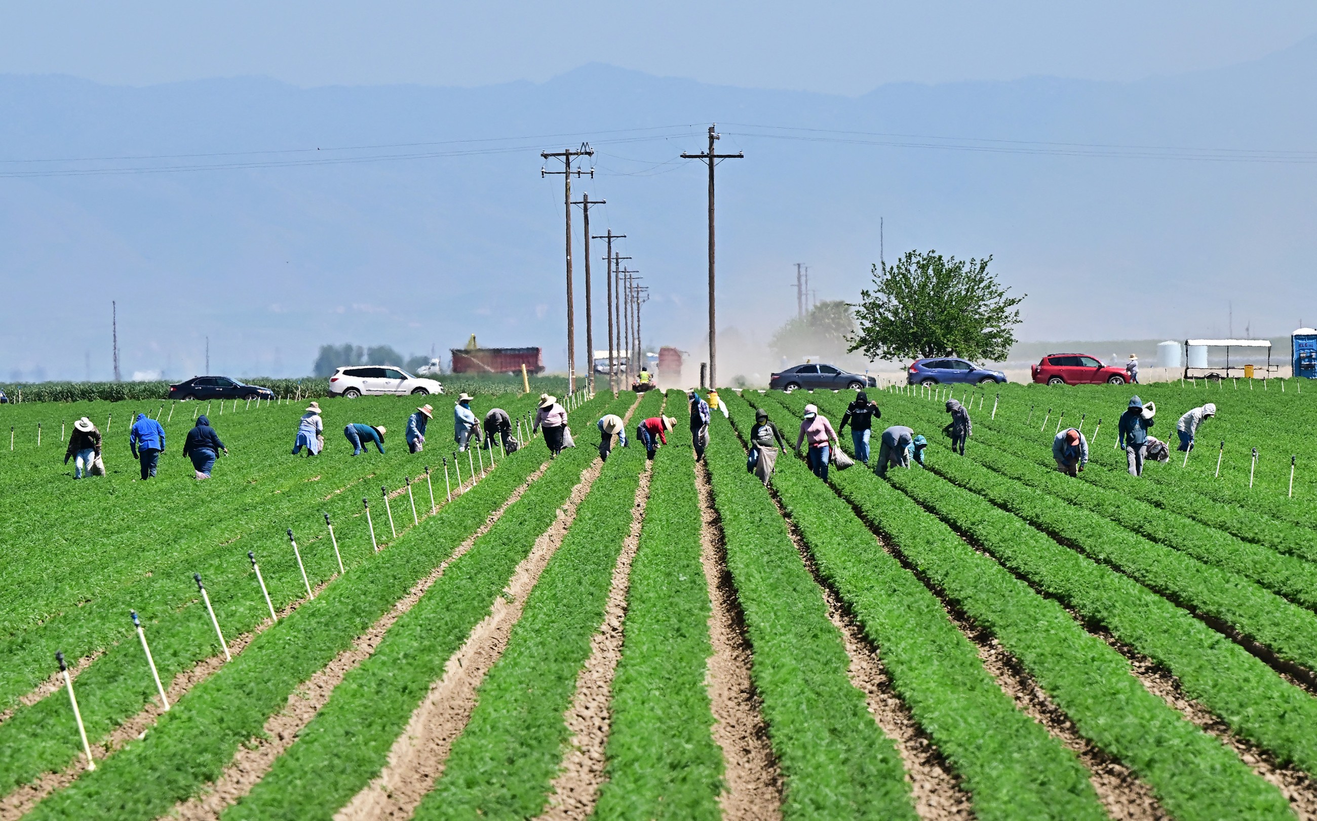 Immigrants weigh health coverage against deportation risk
