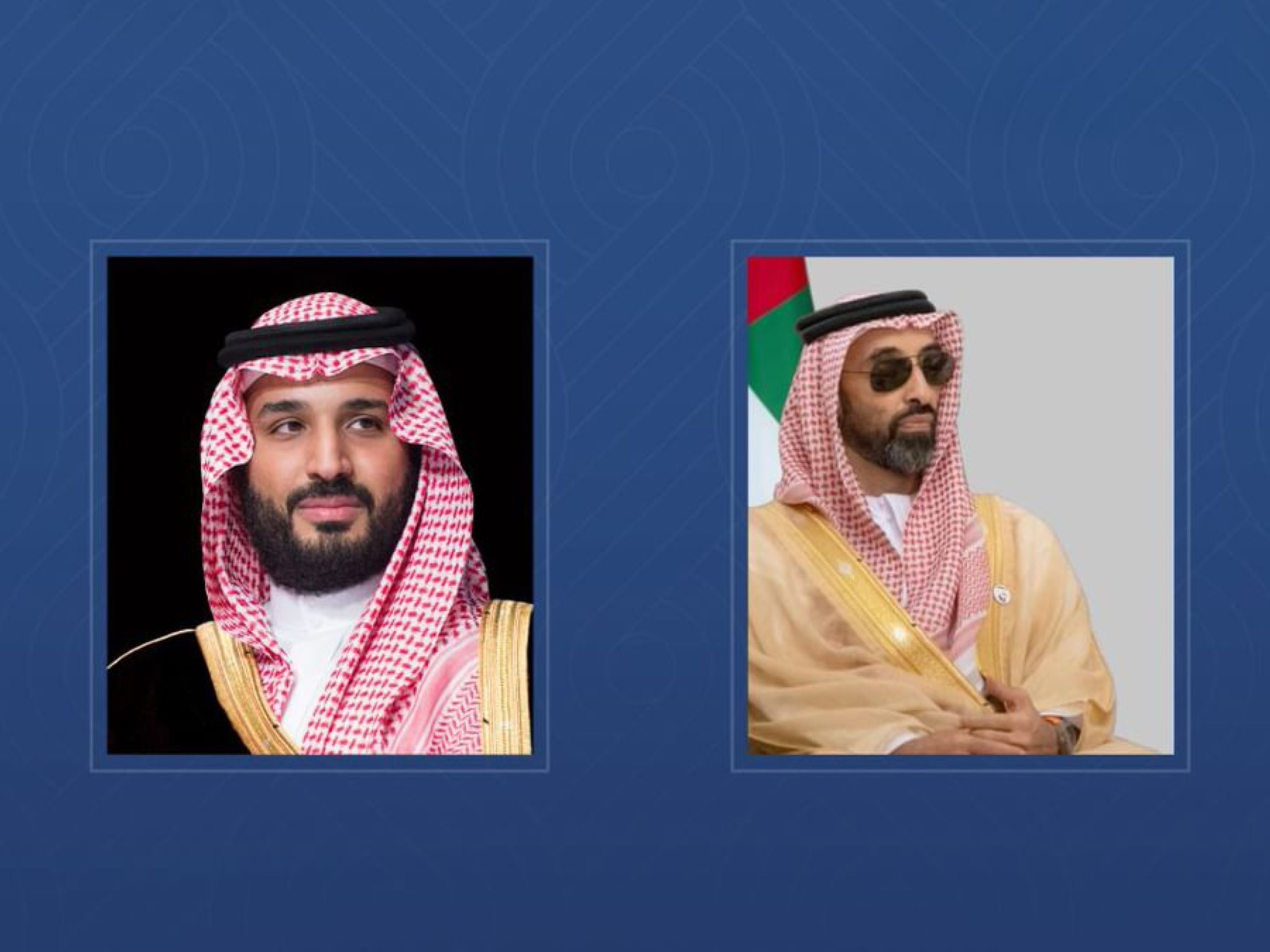 Saudi Crown Prince receives Tahnoon Bin Zayed