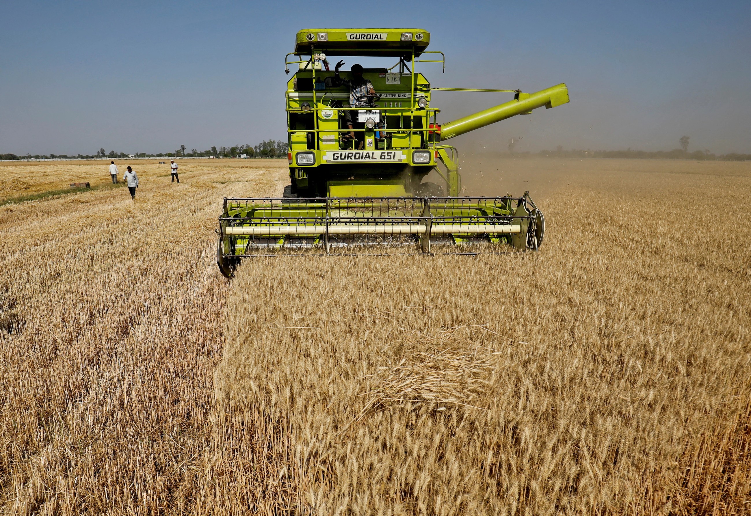 Indonesia offers to cut duties on US goods, buy $500 million of wheat