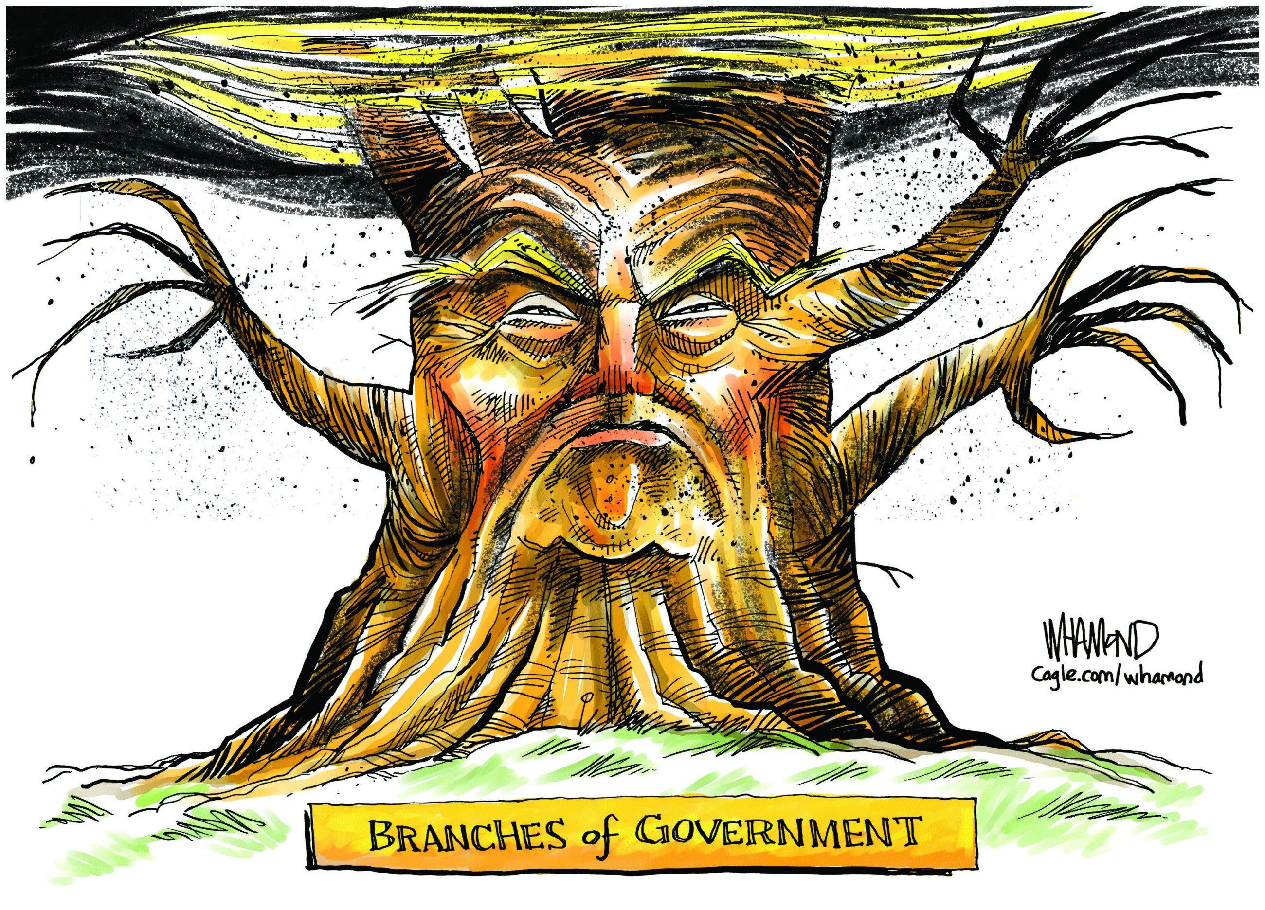 The government