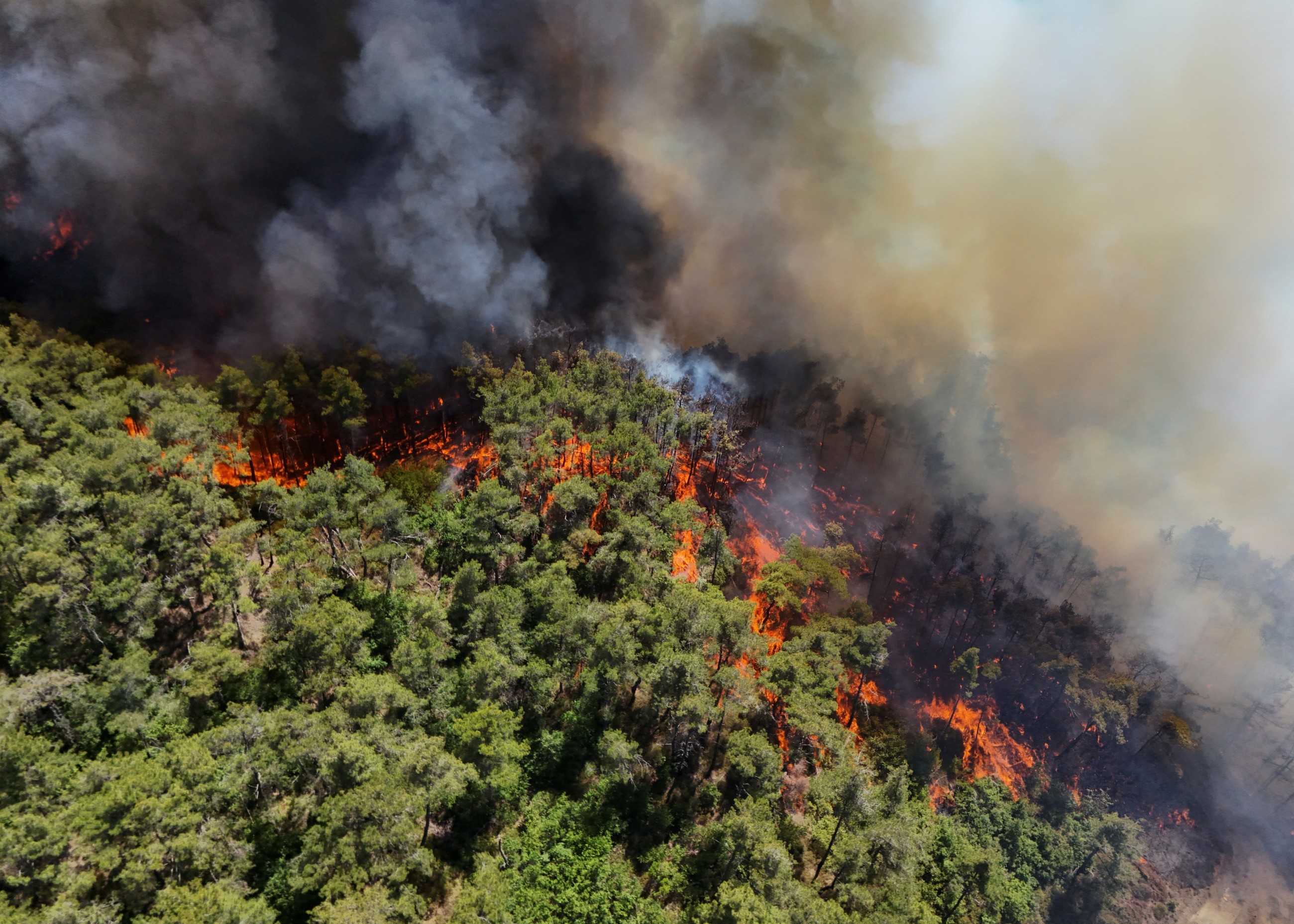 Syrian wildfires spread due to heavy winds and war remnants