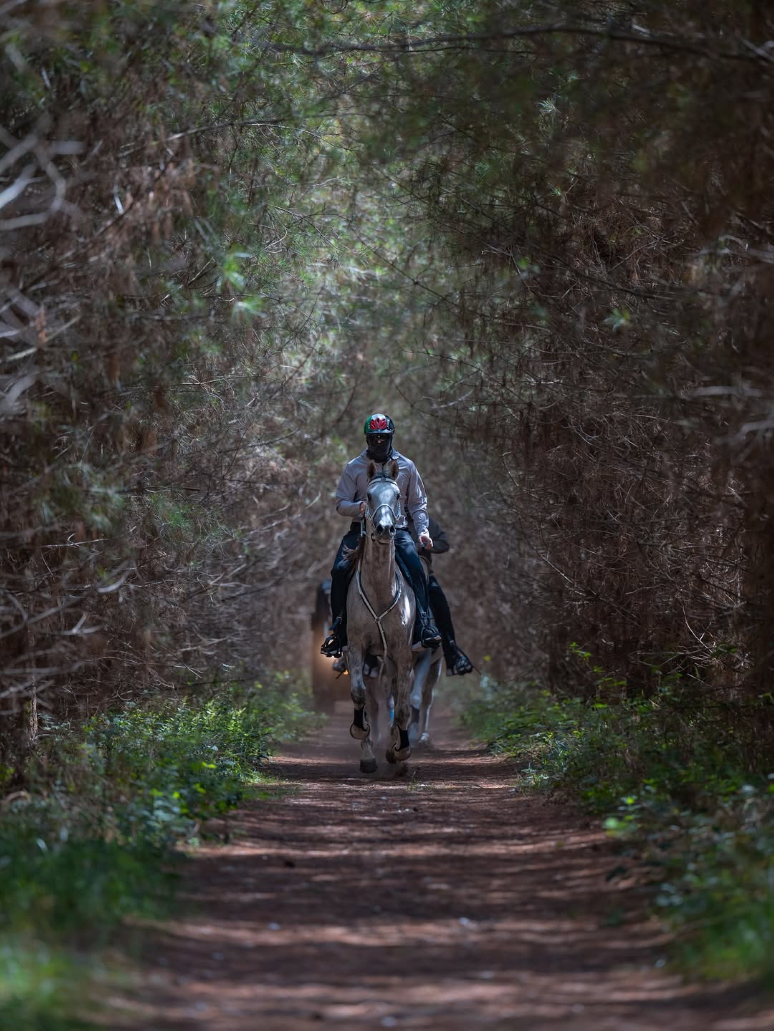VIDEO: Sheikh Hamdan rides horse during his vacation in English countryside