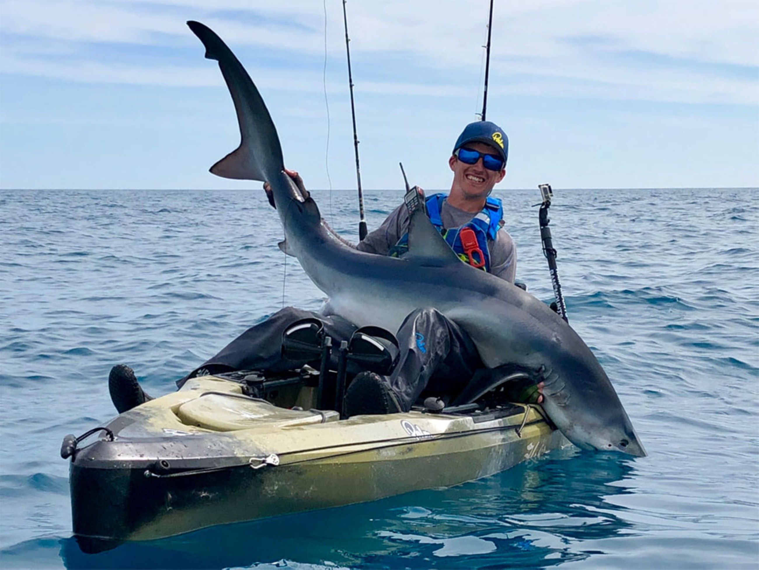 Former shark fishermen now work to protect animal