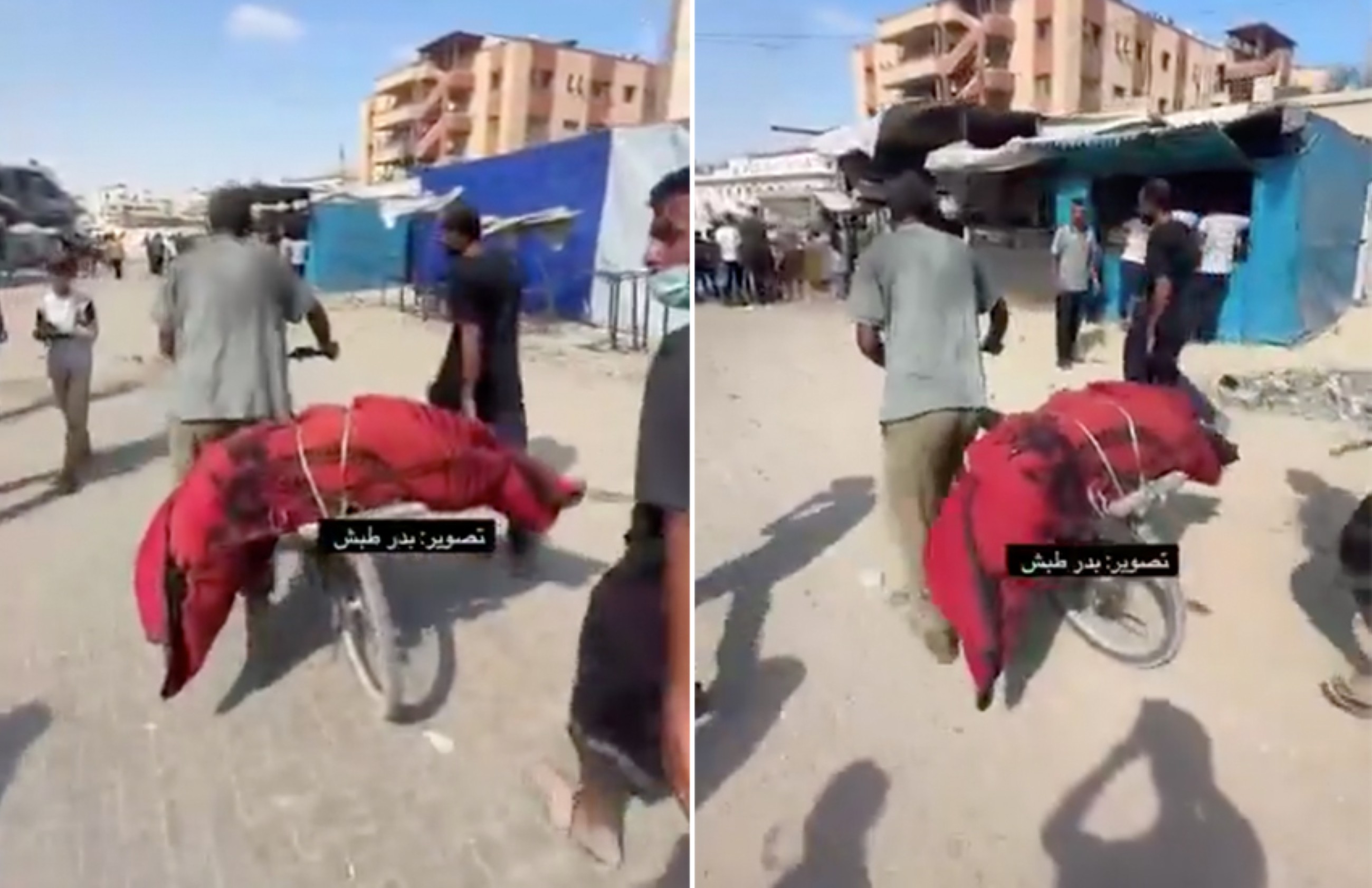 VIDEO: Grieving father carries the body of his son on bicycle after Israeli airstrike in Gaza