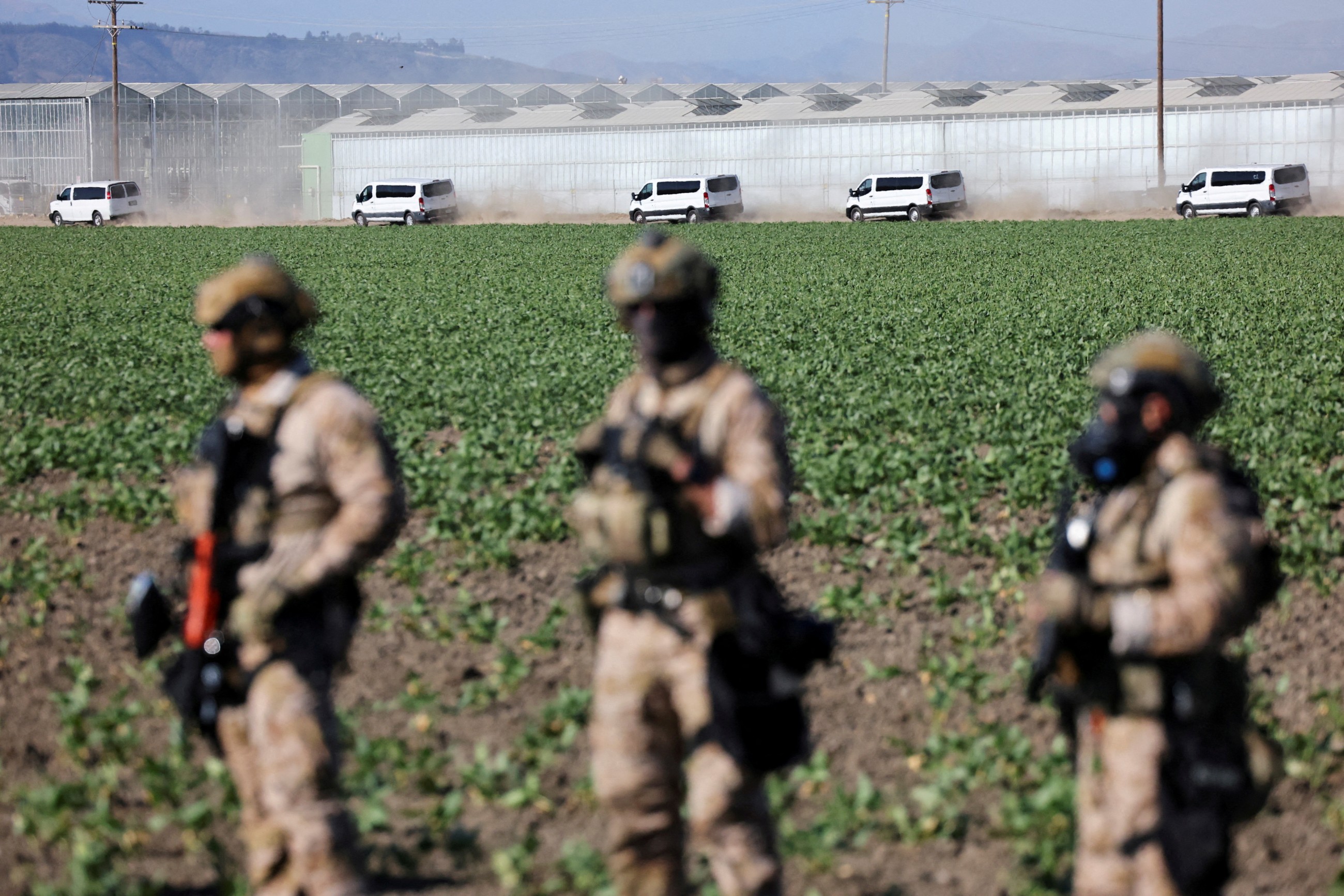 One dead, hundreds arrested in US farm raid as judge orders pause to aggressive tactics