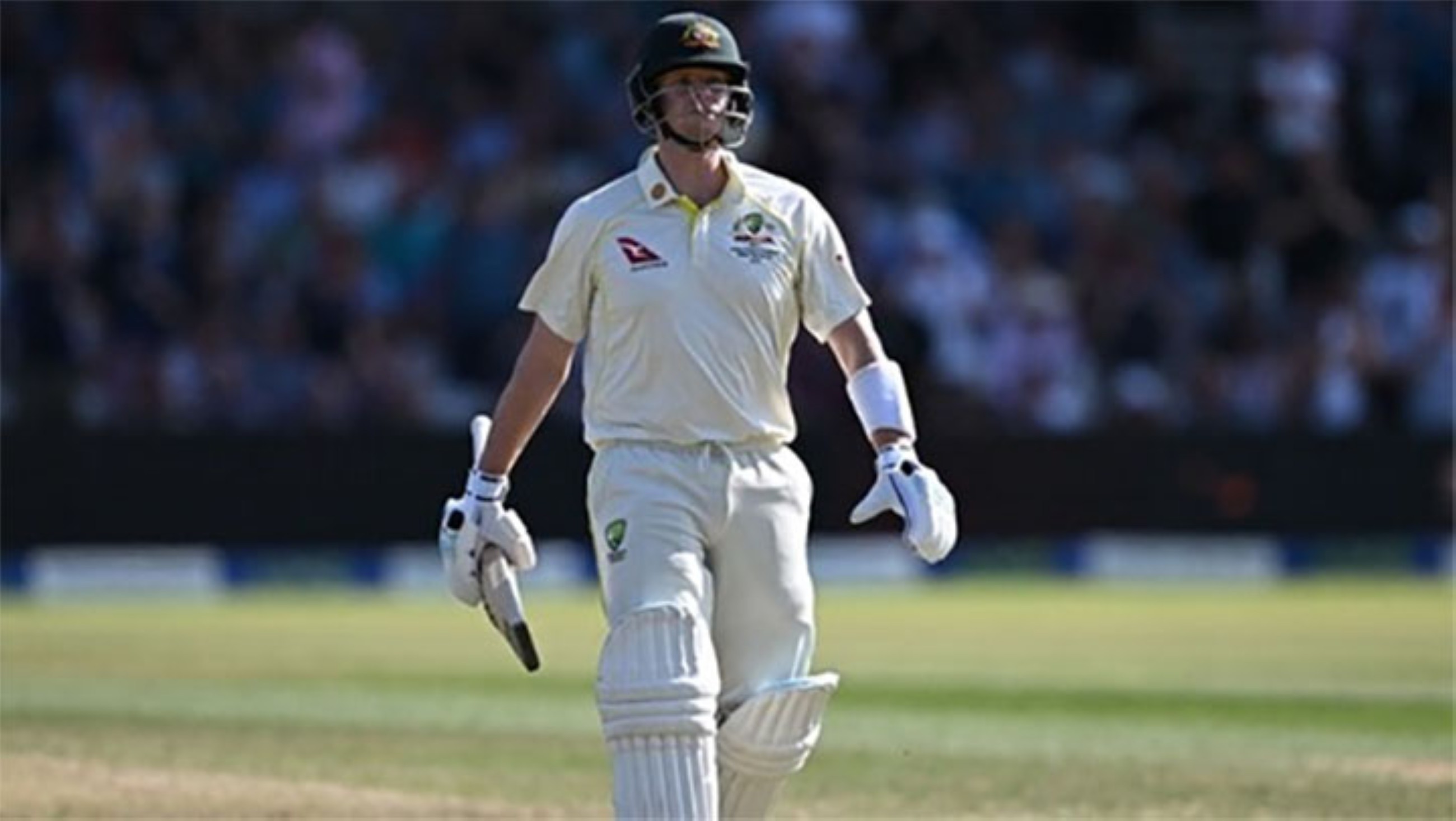 Taylor, Mulder show why cricket is called the game of gentlemen