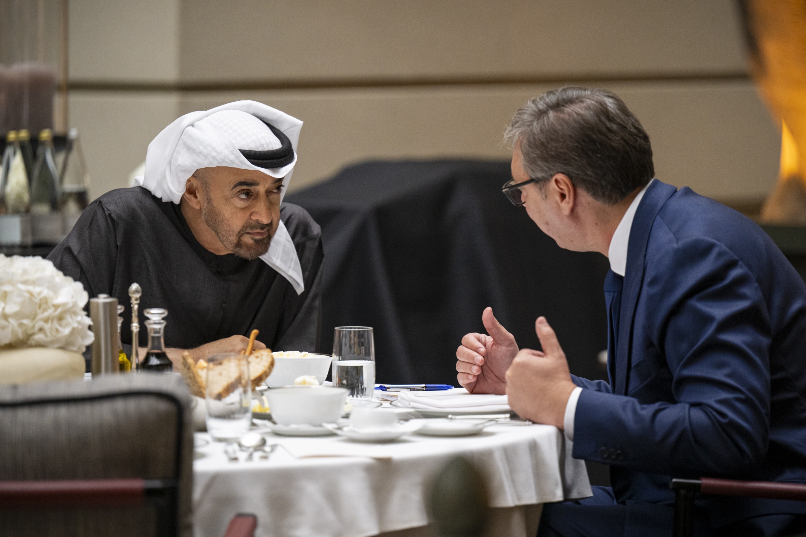 UAE, Serbian presidents discuss ties, regional and global issues