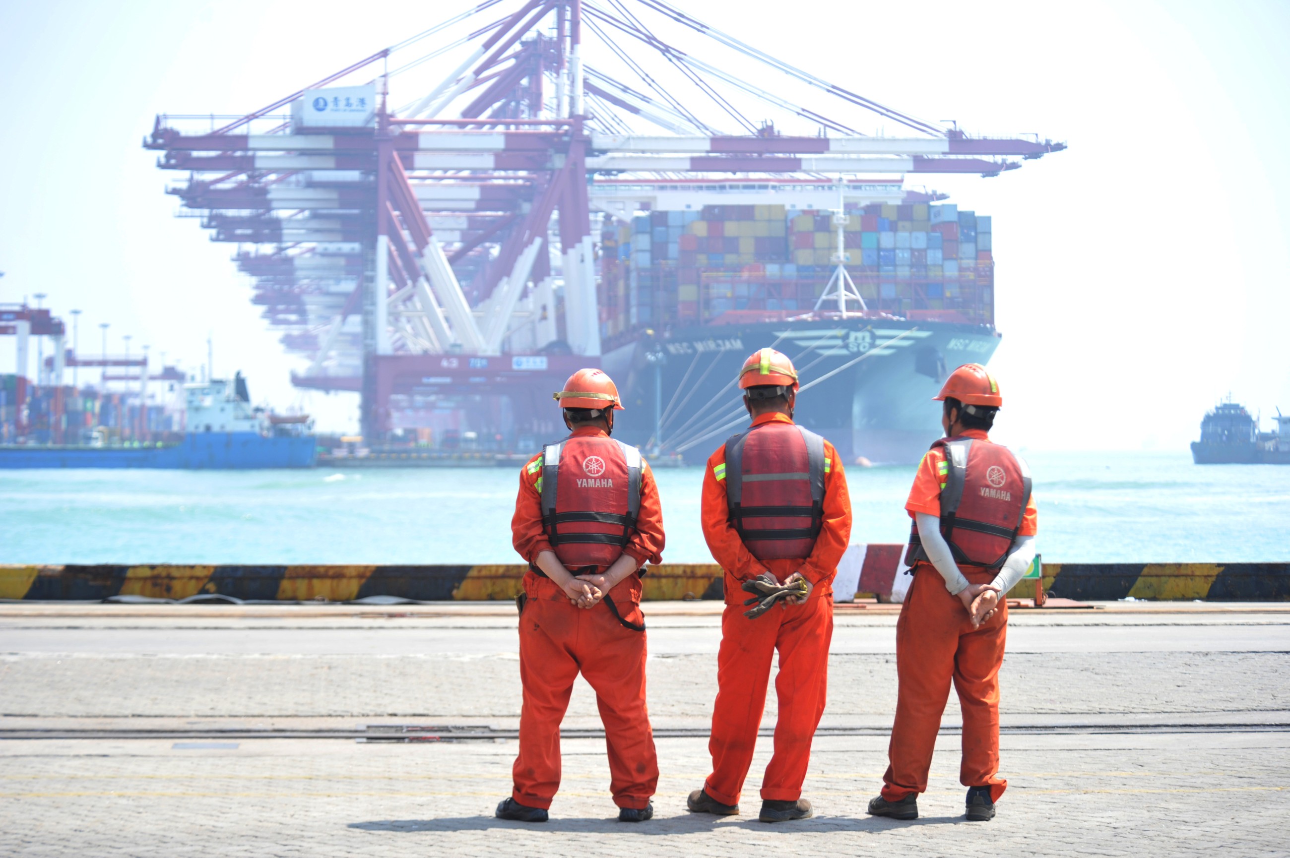 China reports robust trade, investment with Belt and Road countries