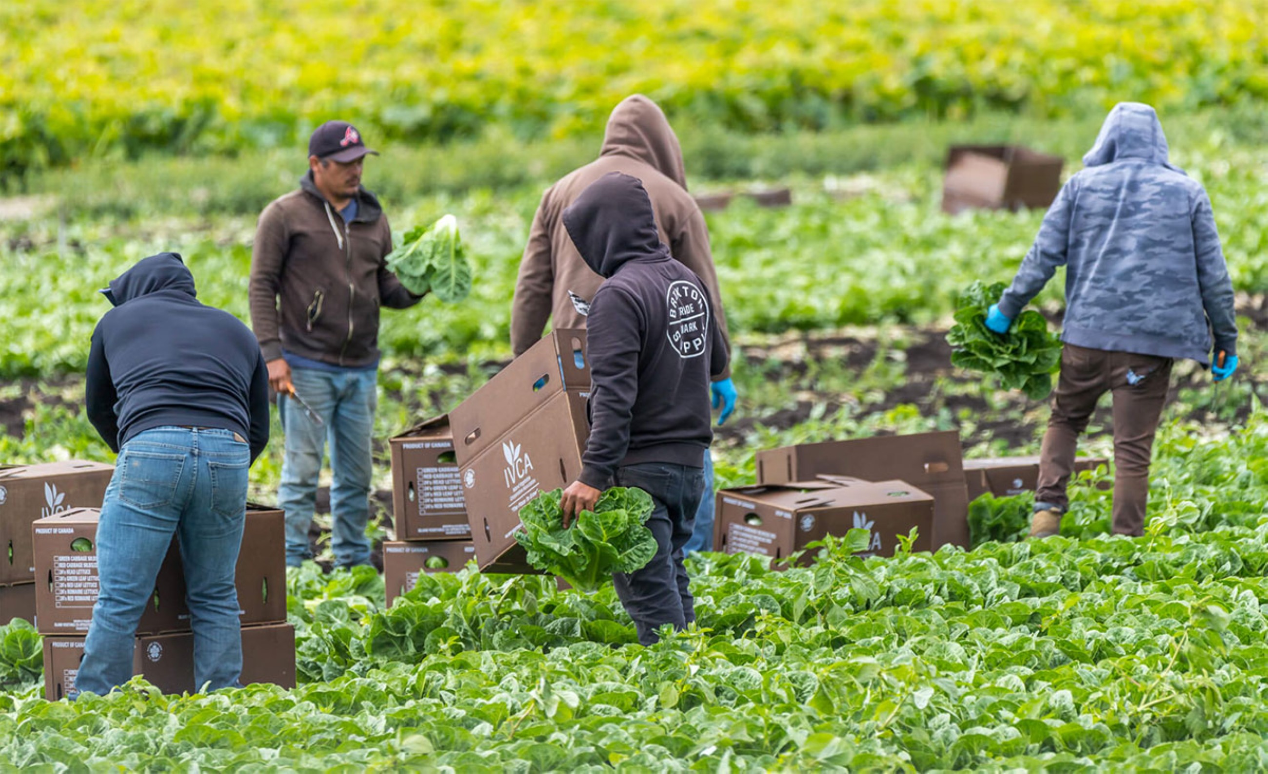 Farmers protest unjust immigration system