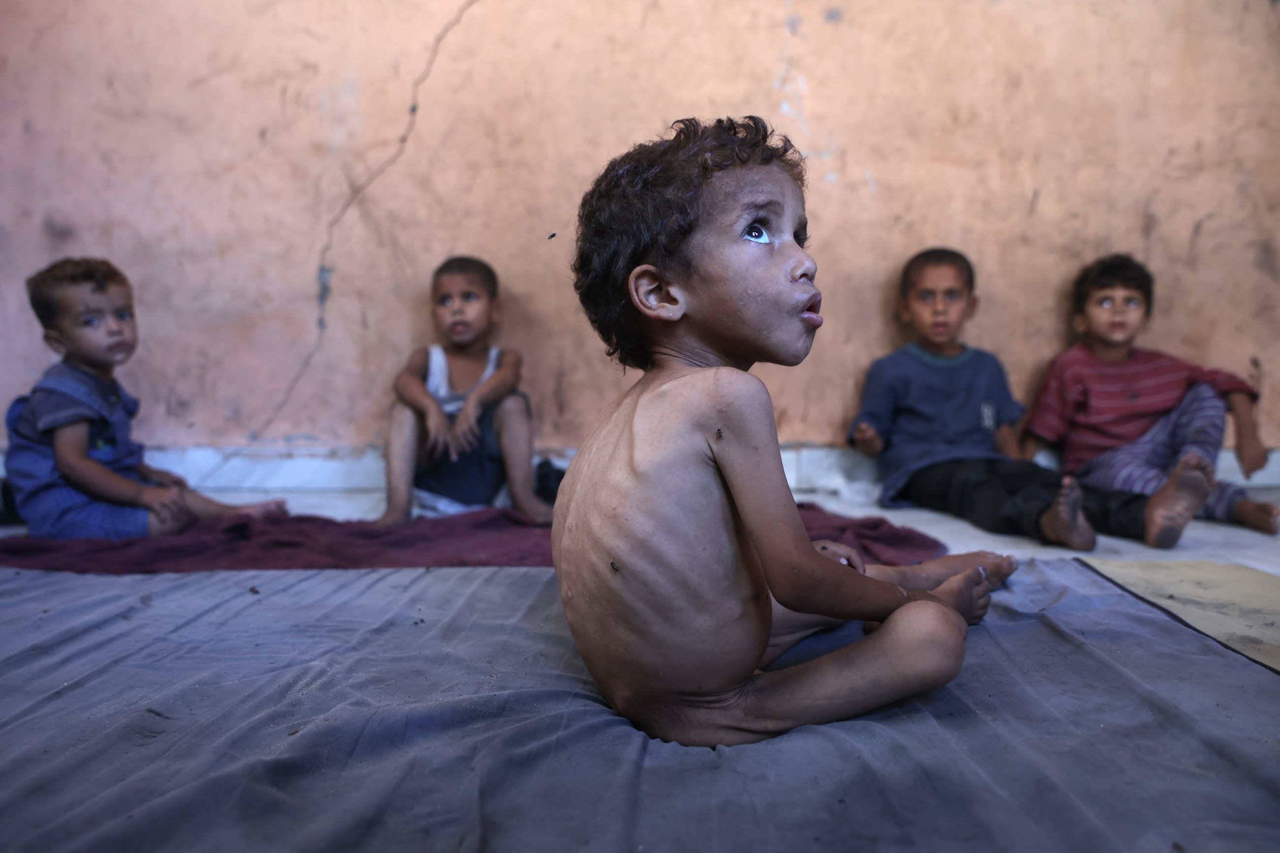 ‘People in Gaza are neither dead nor alive, they are walking corpses,’ says UN agency
