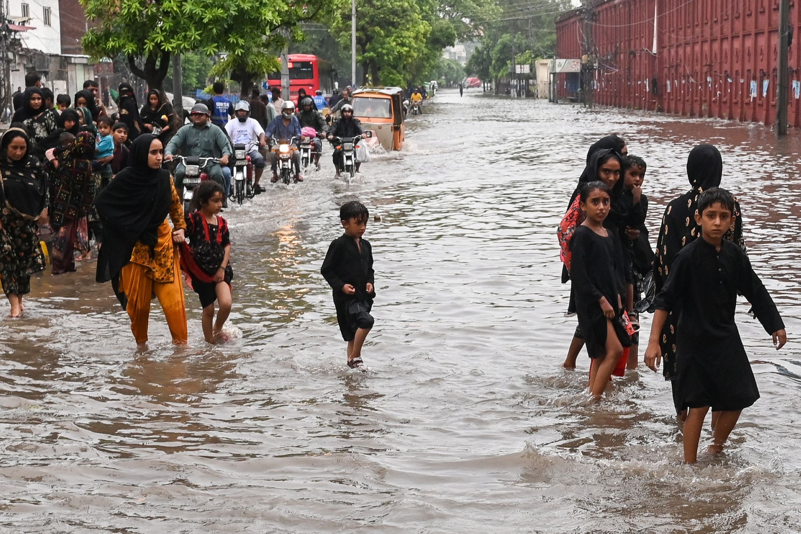 Half of the 266 Pakistan monsoon deaths are children: PDMA