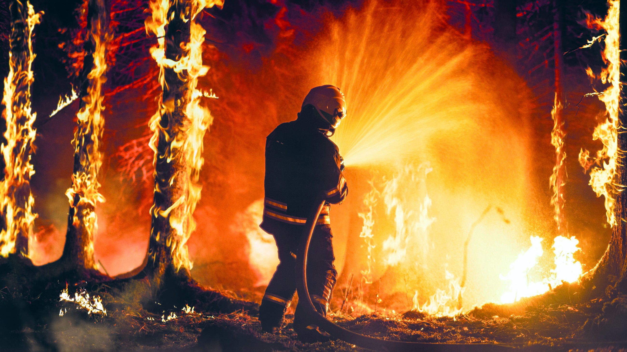 Abu Dhabi Police control a wildfire in Al Ain, no injuries reported 