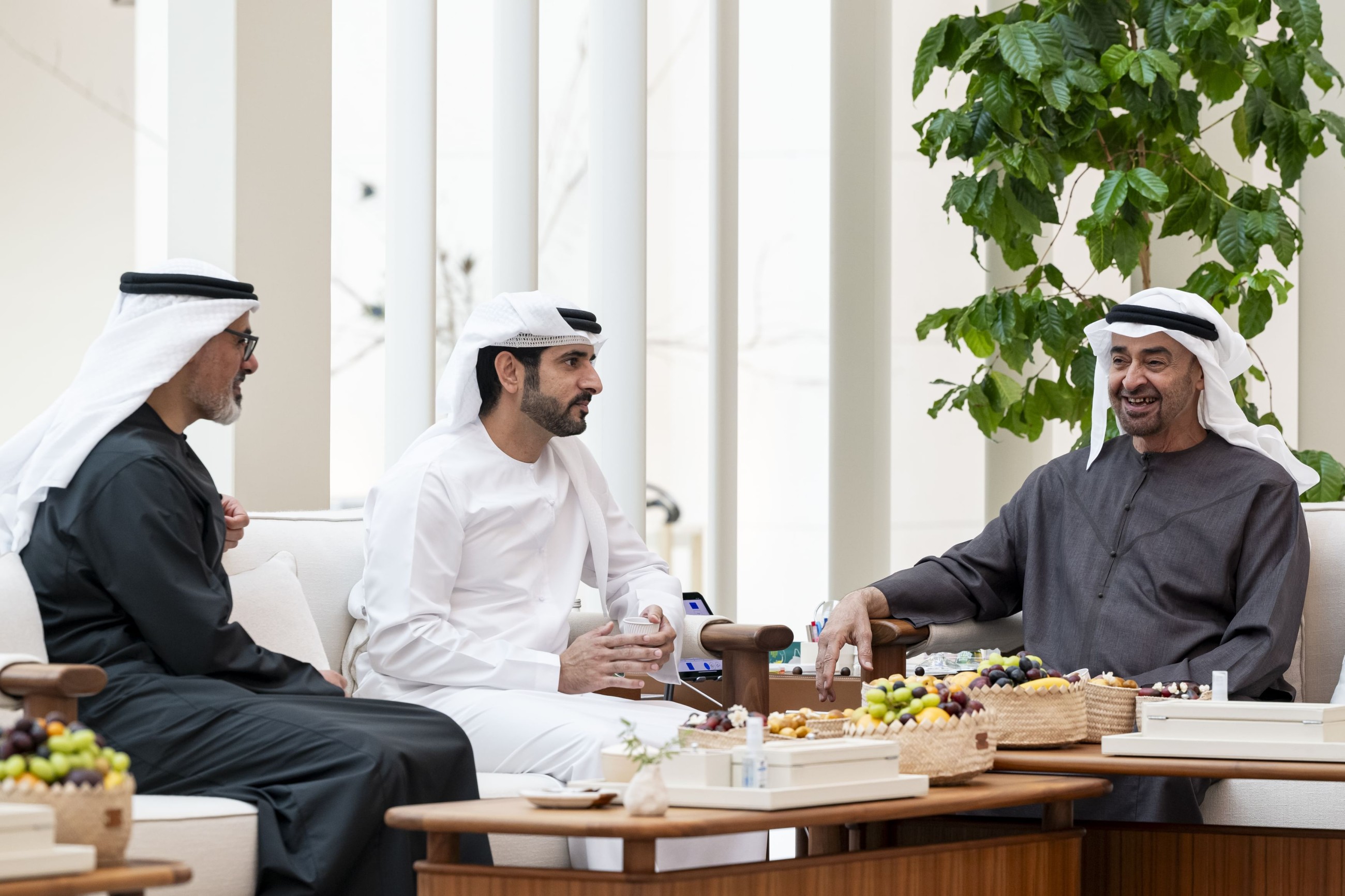 UAE President receives Dubai Crown Prince, discusses national affairs
