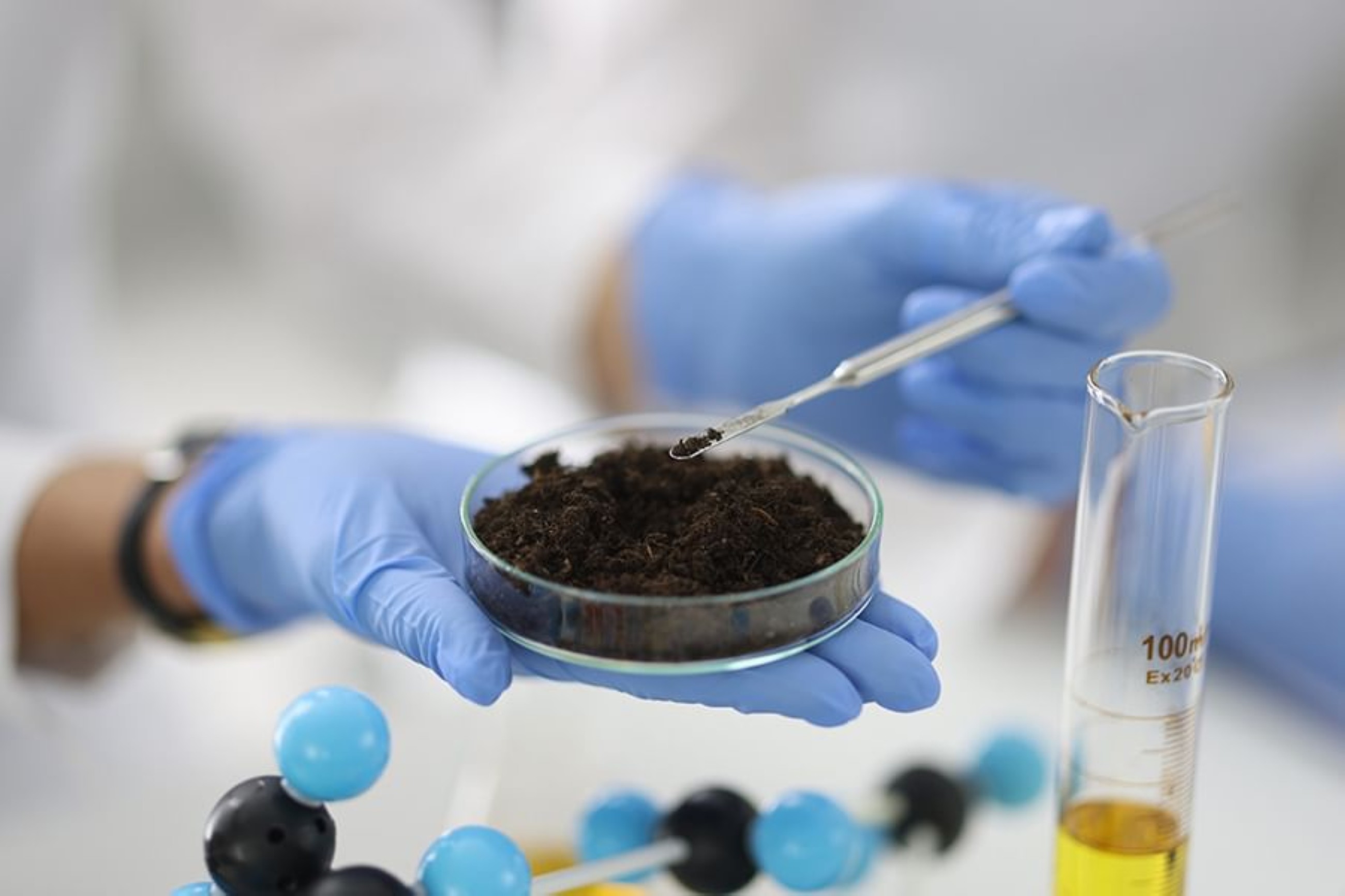 Scientific study reveals promising prospects for sustainable agriculture in UAE