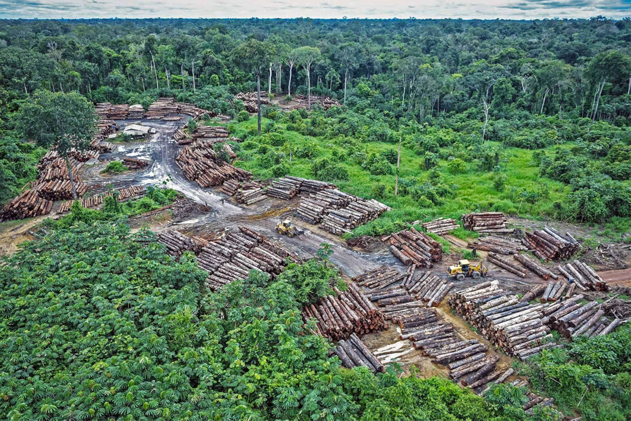 Colombia’s limited success in checking deforestation
