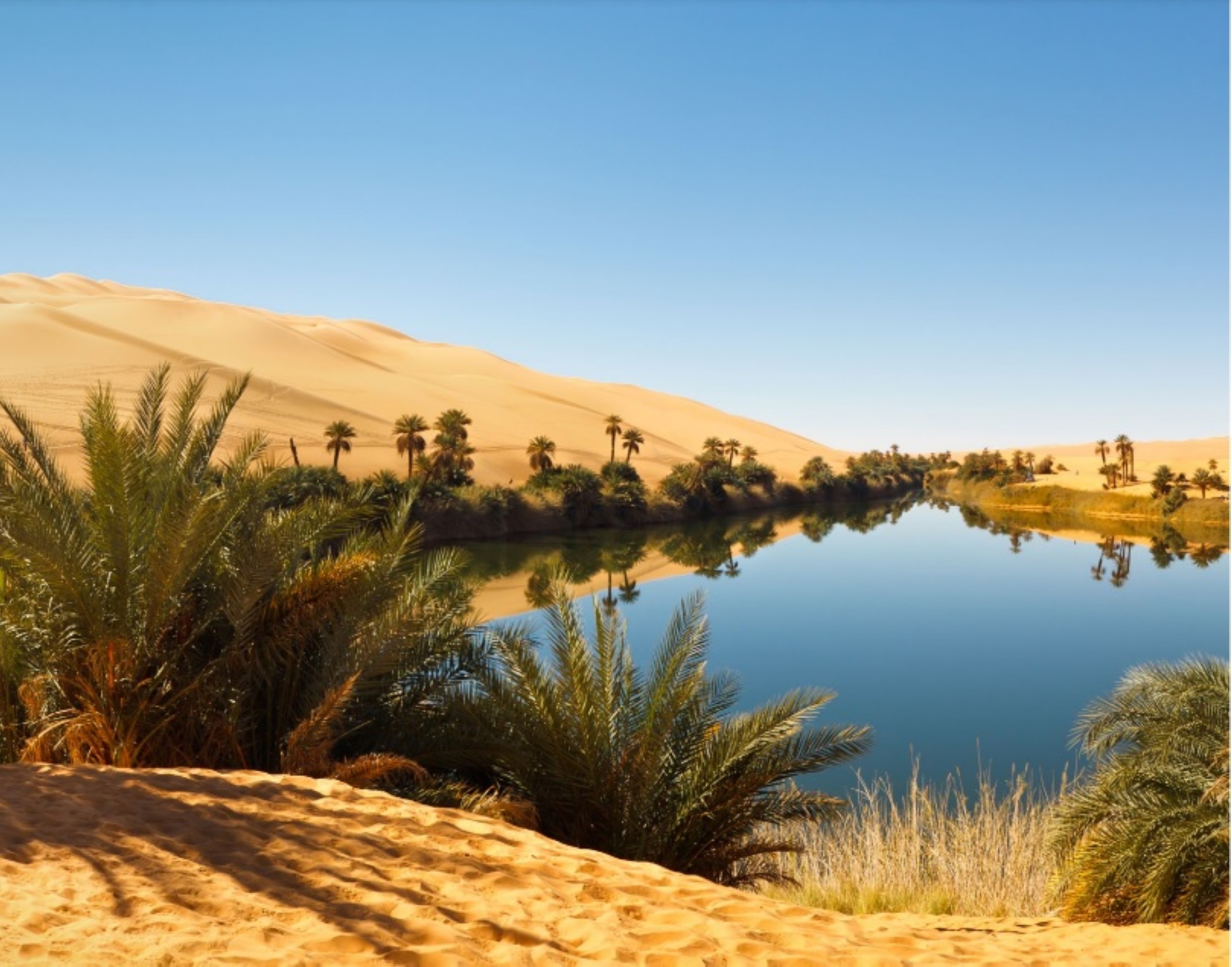 Groundwater meets 71 per cent of Abu Dhabi’s total water needs