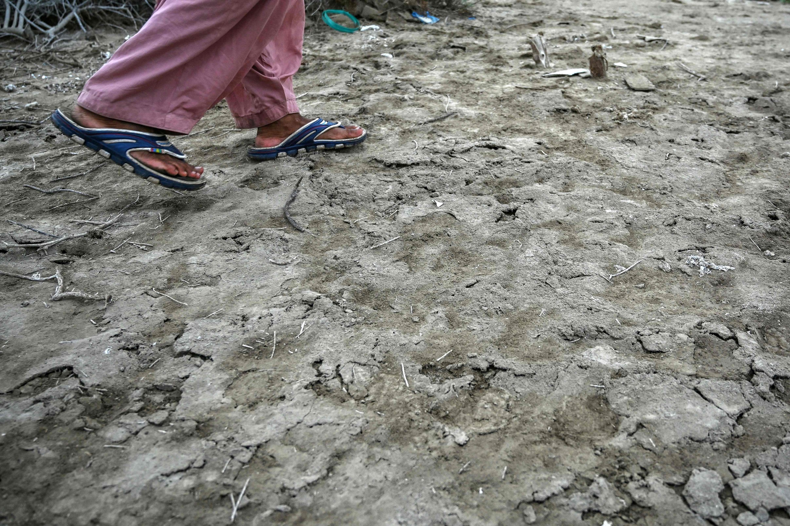 Death of a delta: Pakistan's Indus sinks and shrinks