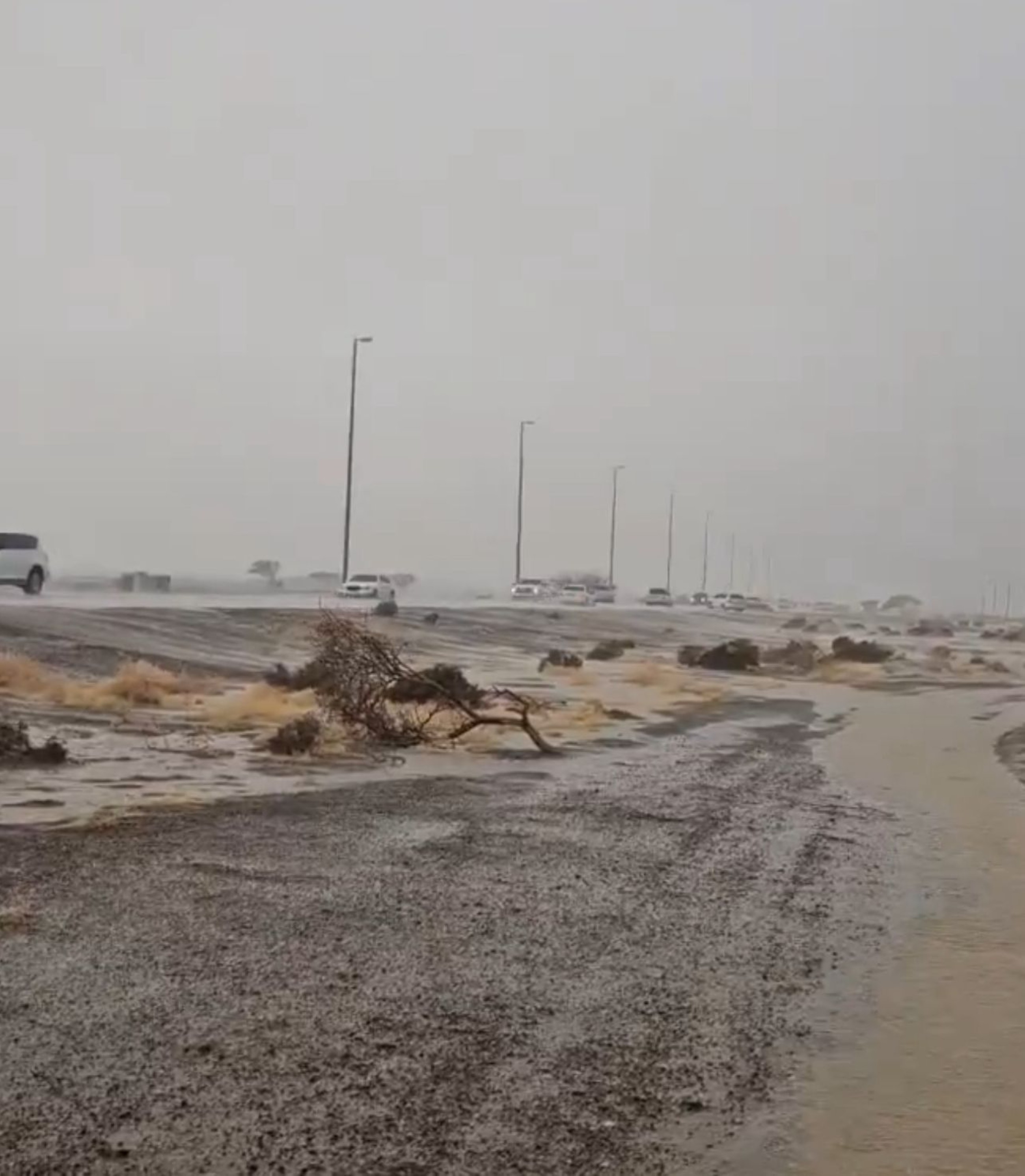 Rain in Al Ain expected to continue for three days: NCM