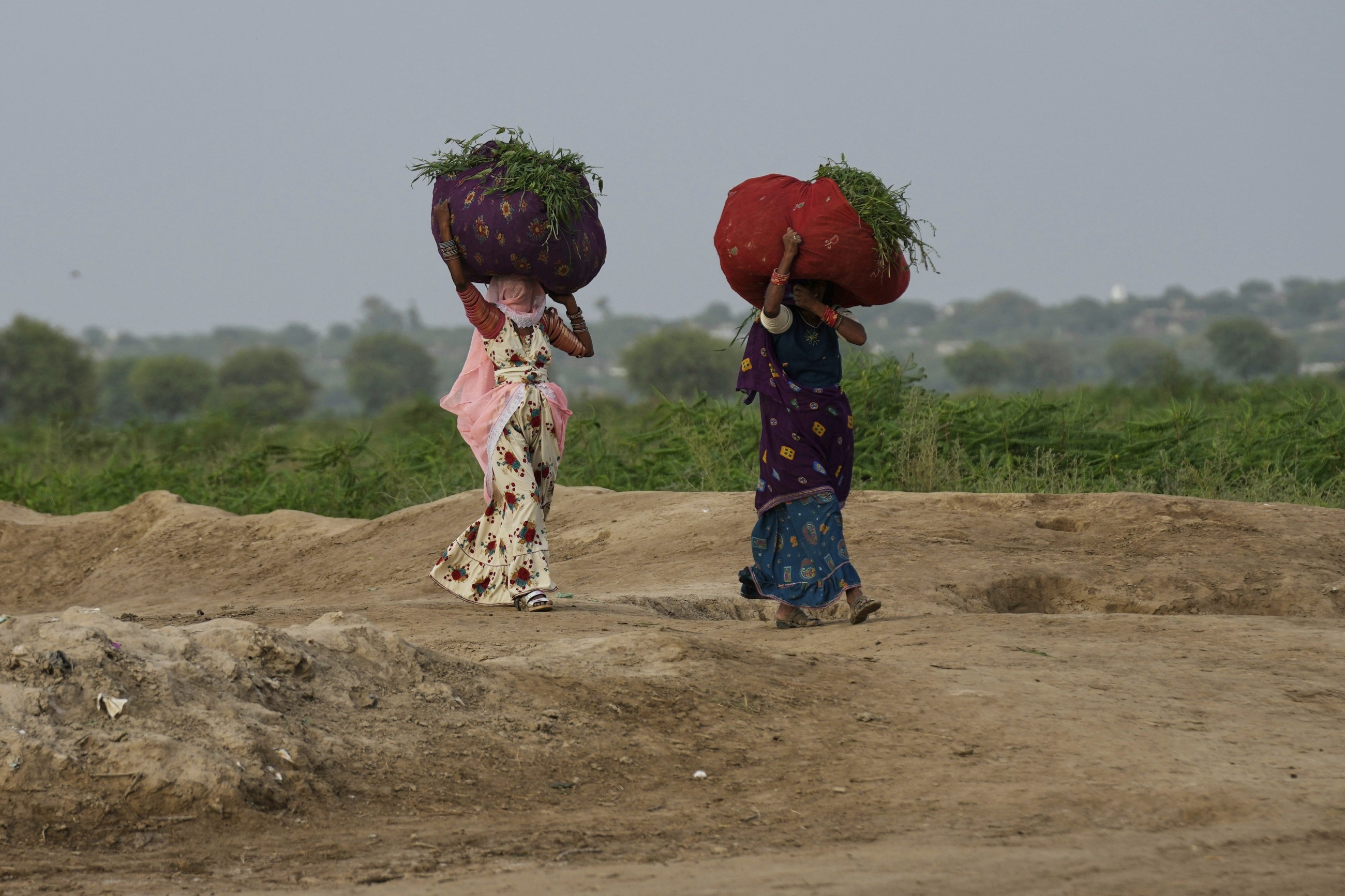 Pakistani musicians use folk songs to raise climate change awareness