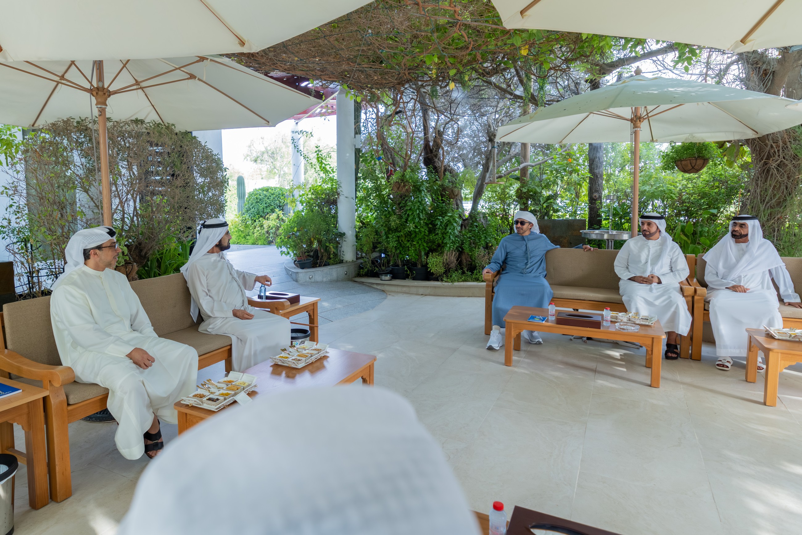 Sheikh Mohammed and Sheikh Mansour discuss national issues, UAE's growth in Dubai