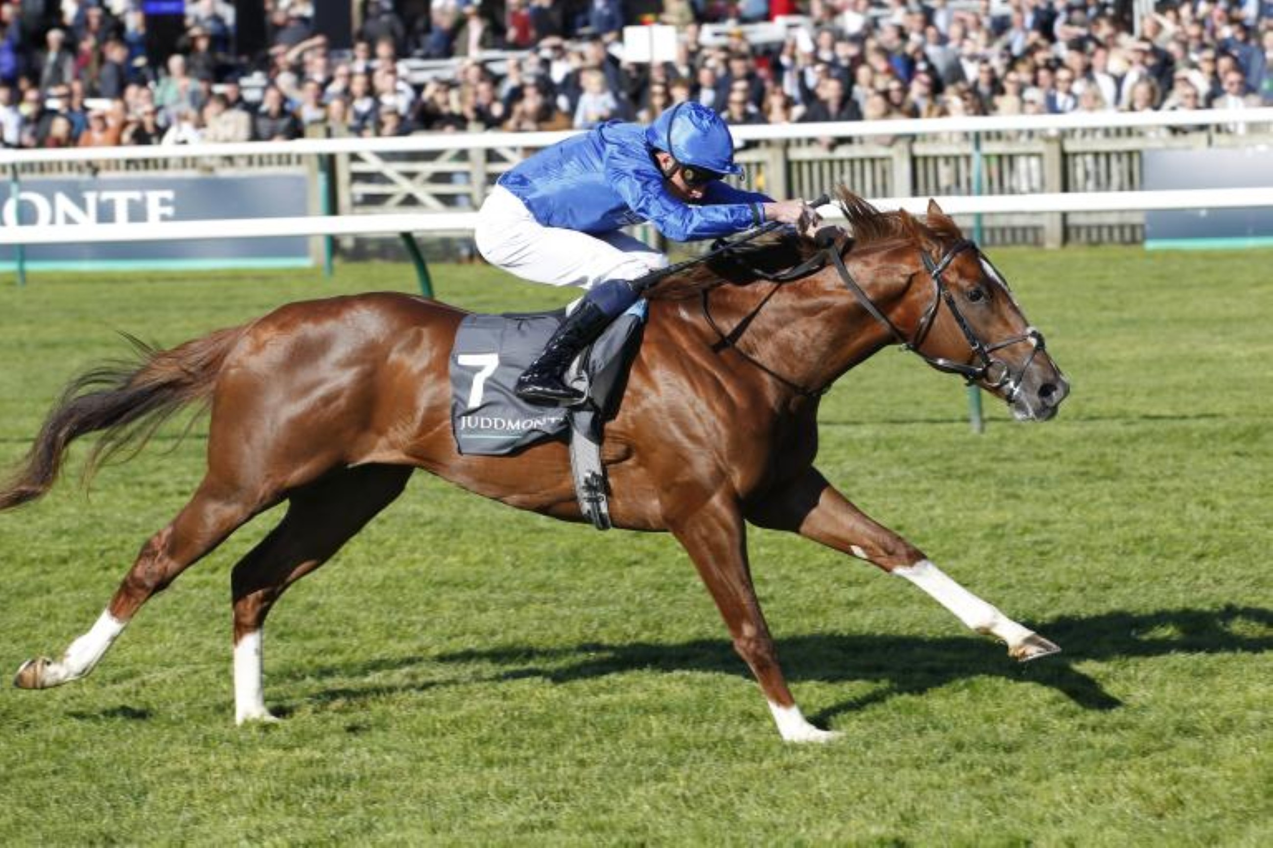 Shadow Of Light leads trio targeting G1 Prix Maurice de Gheest glory