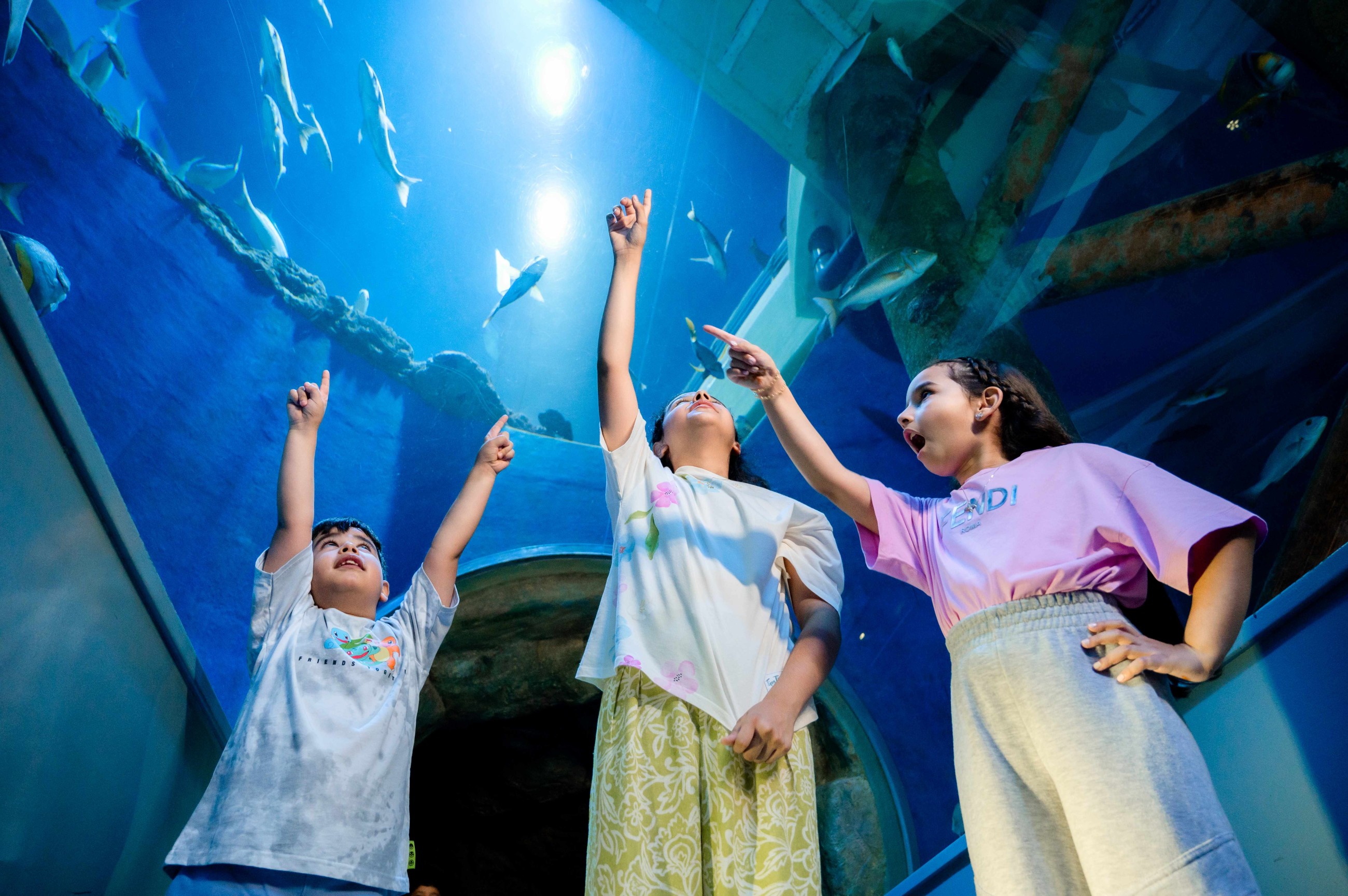 Kids to analyse marine life at Sharjah Aquarium