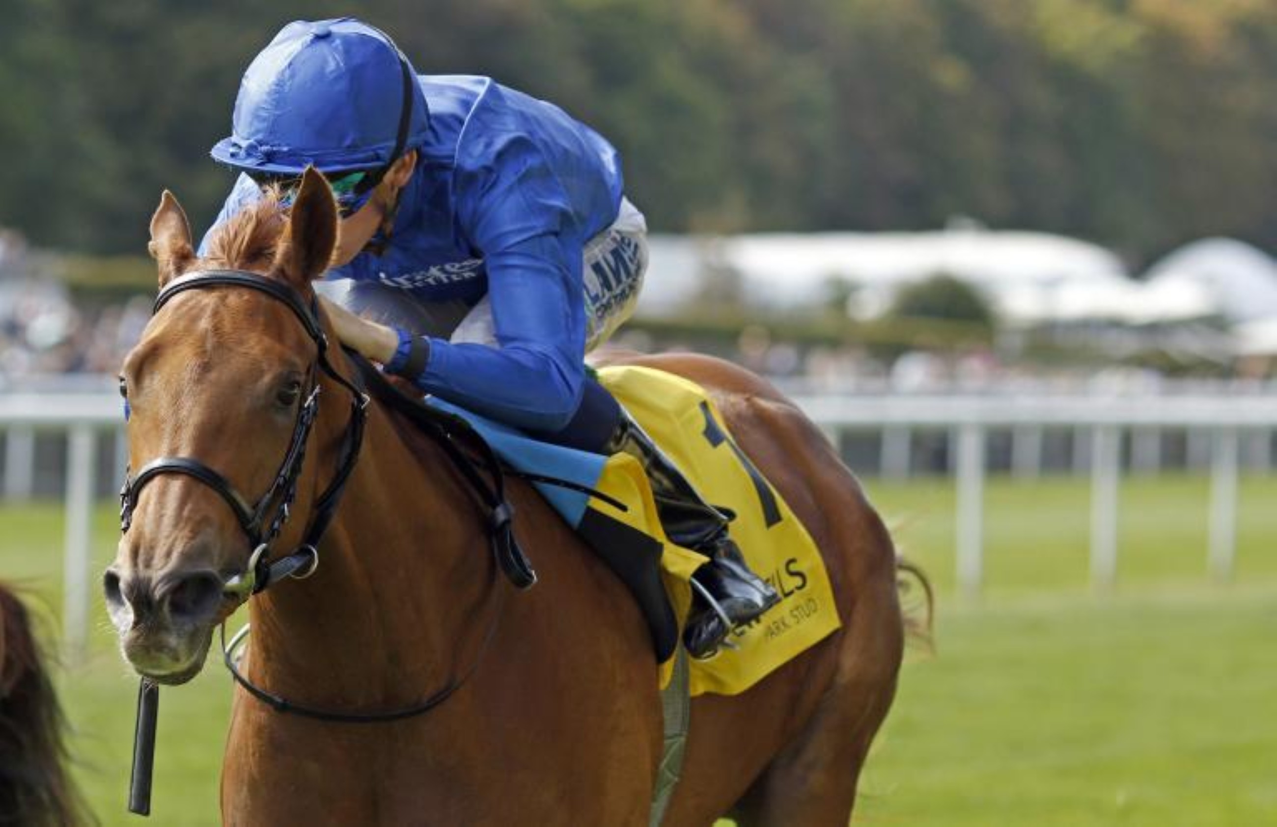 Dance To The Music wins Sweet Solera Stakes