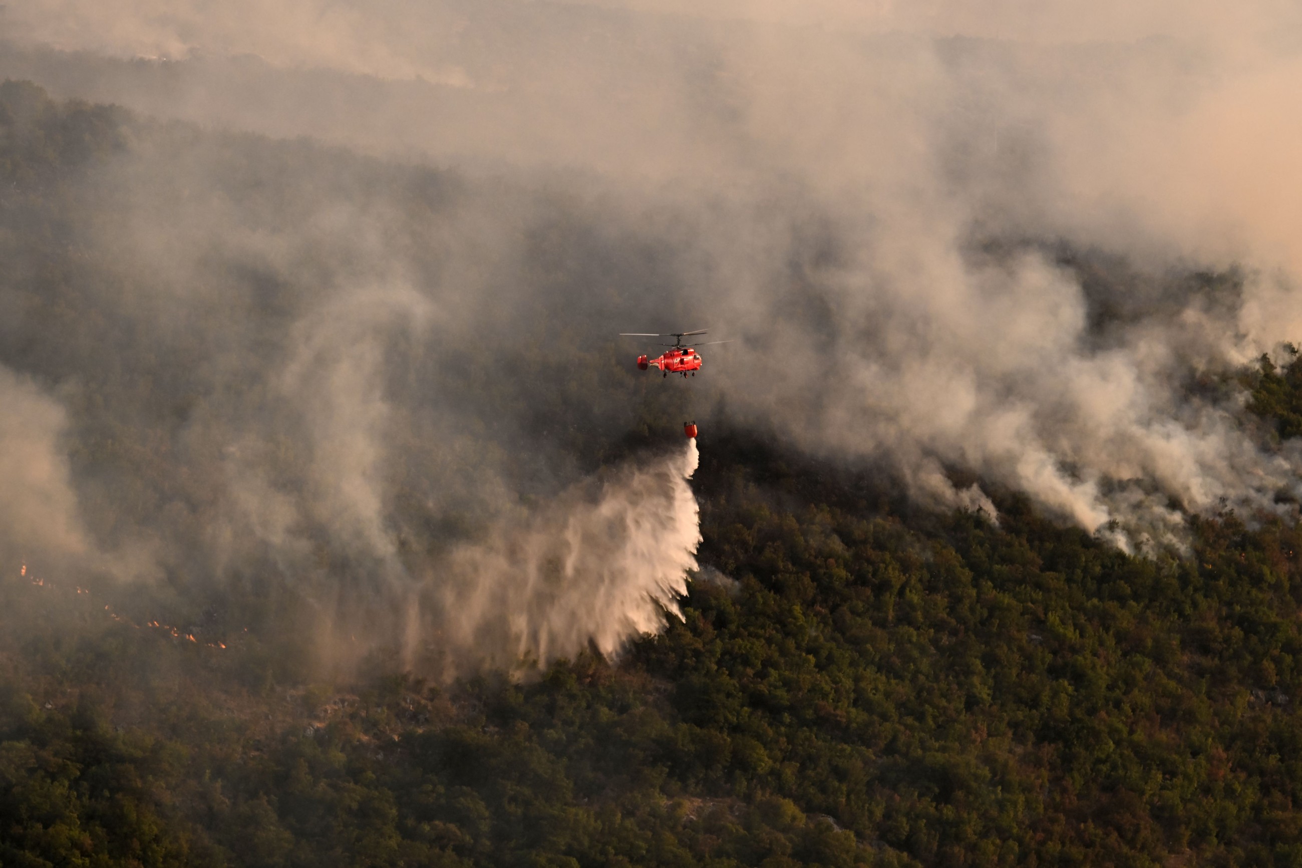 UAE firefighting team begins operations to combat Albania wildfires