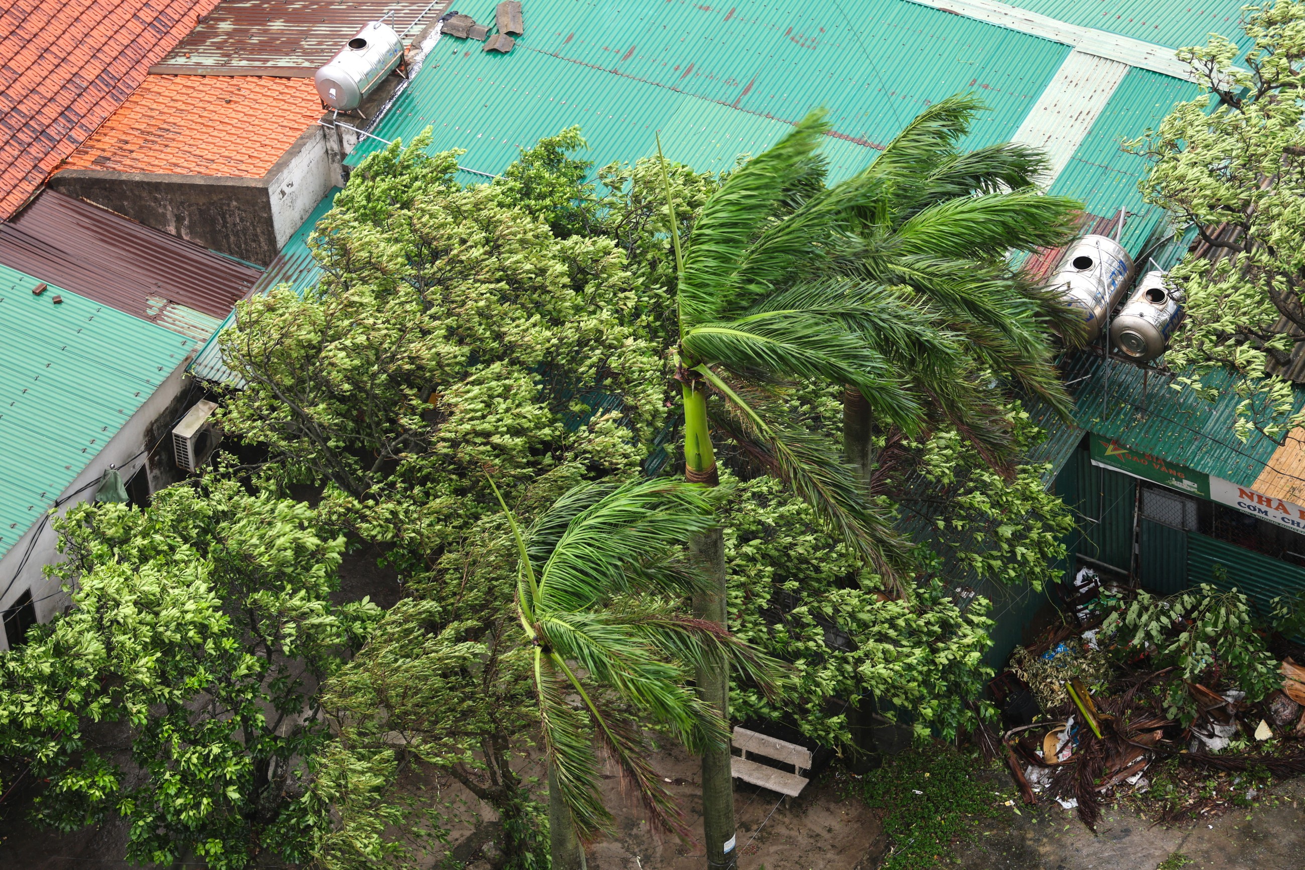 Vietnam evacuates over 586,000 as Typhoon Kajiki intensifies