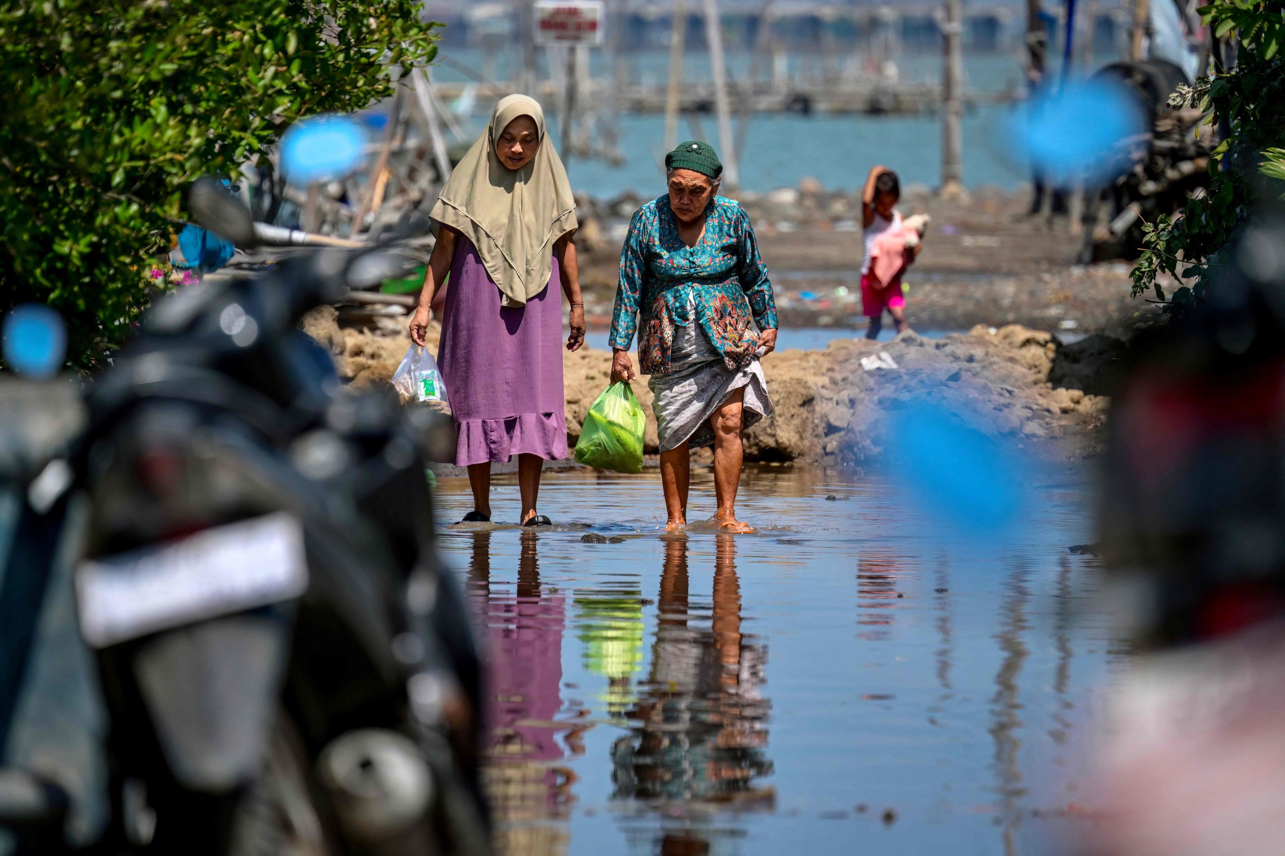 Can a giant seawall save Indonesia's disappearing coast?
