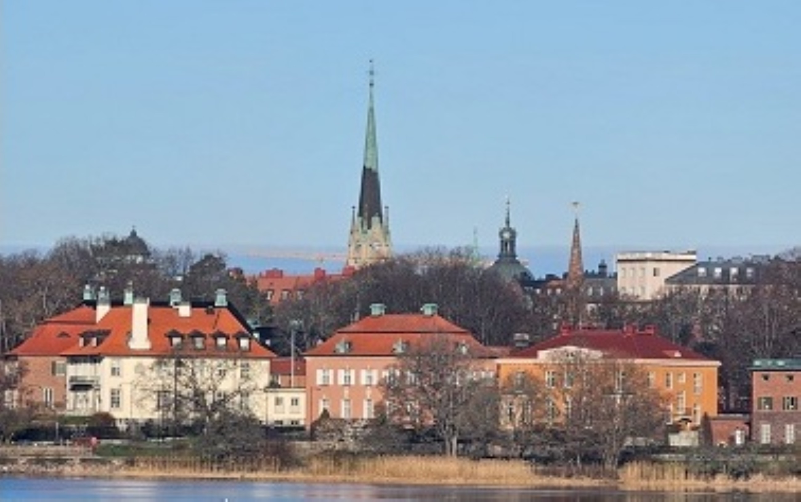 4 experts share insights from Sweden&rsquo;s experience on the changing nicotine and public health landscape