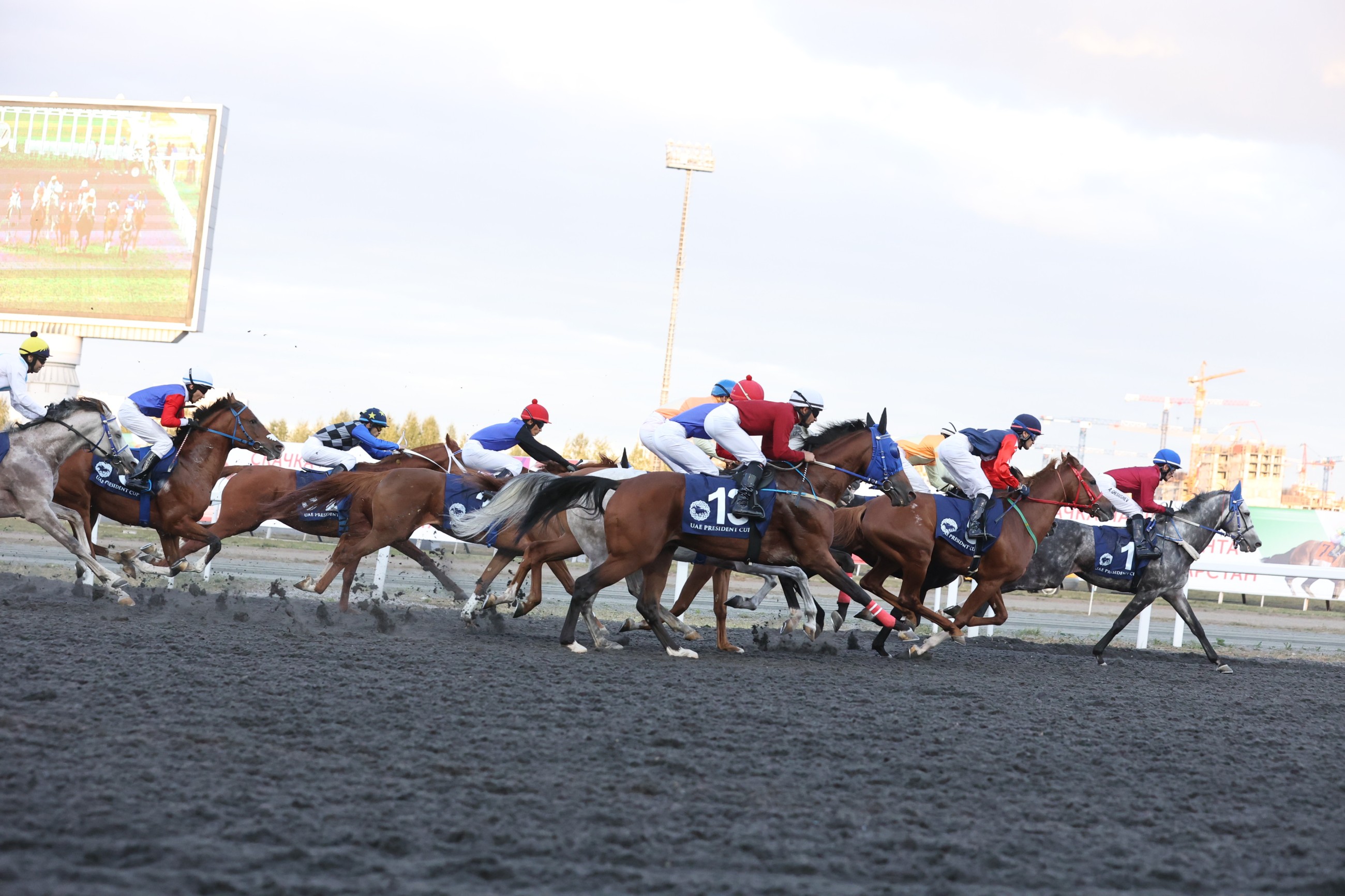 16 elite horses in fray for tenth round of UAE President’s Cup Series race in Kazan