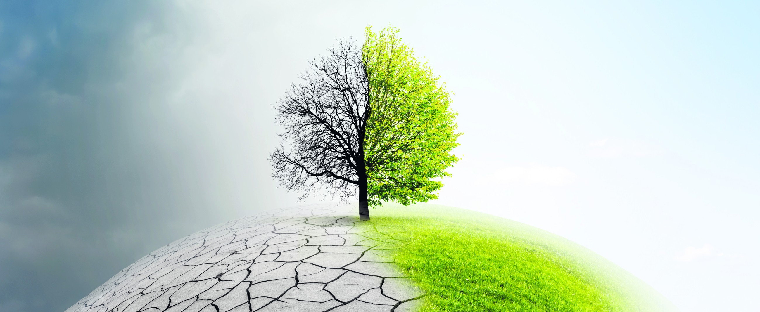 Global economic crisis and climate change