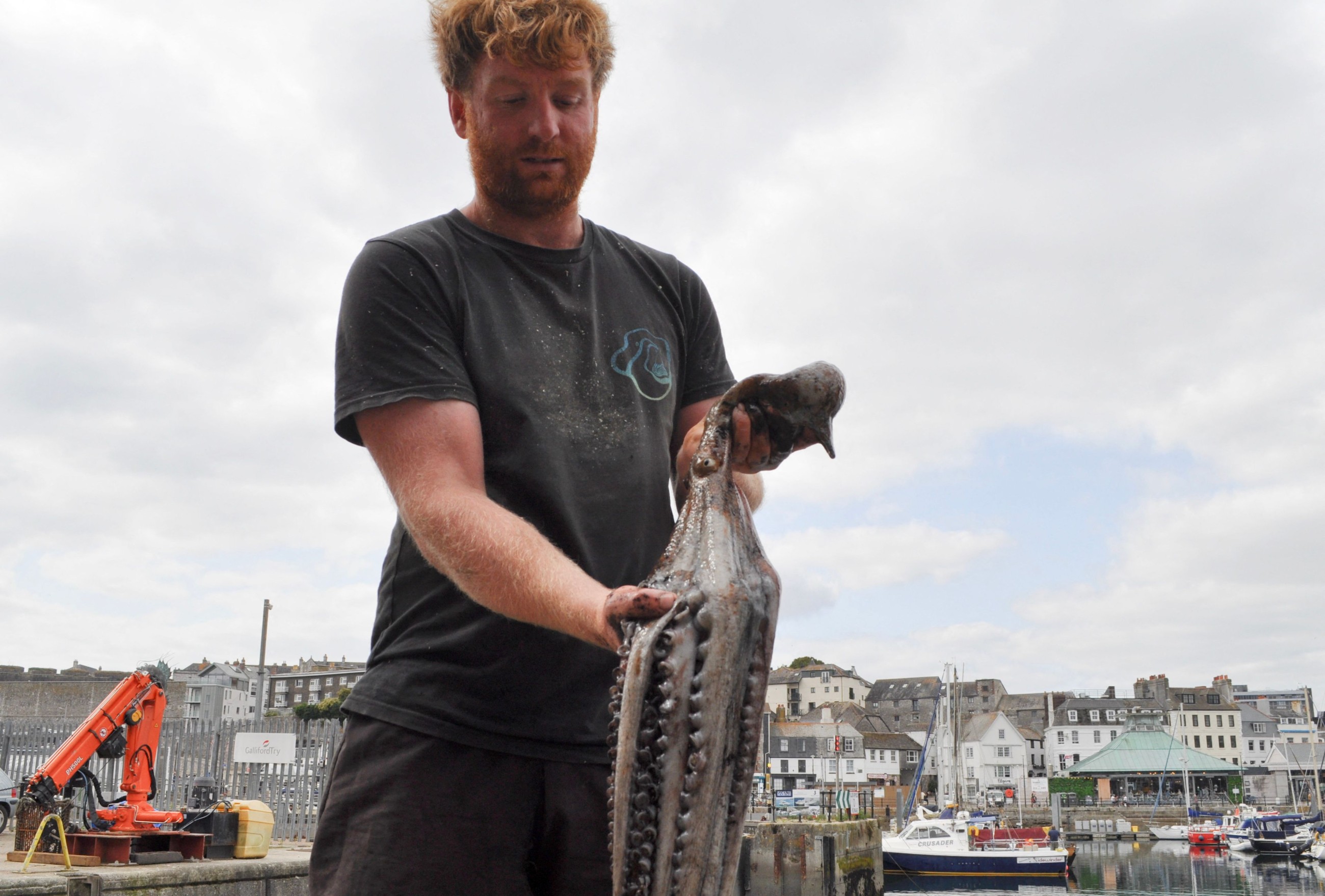 'Perfect storm': UK fishermen reel from octopus invasion