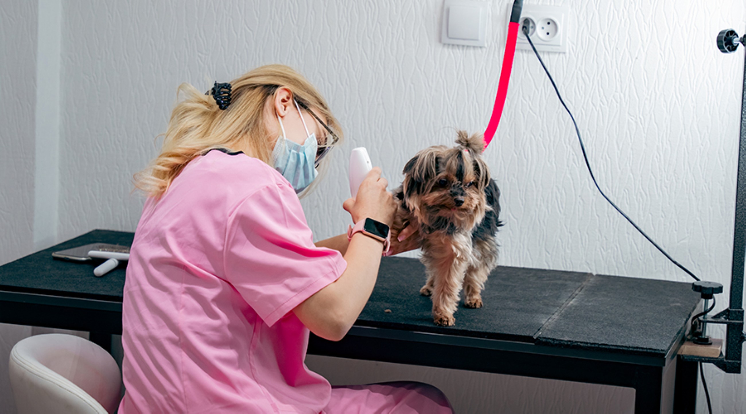 YourService: 8 out of 10 find the right specialist in 24 hours