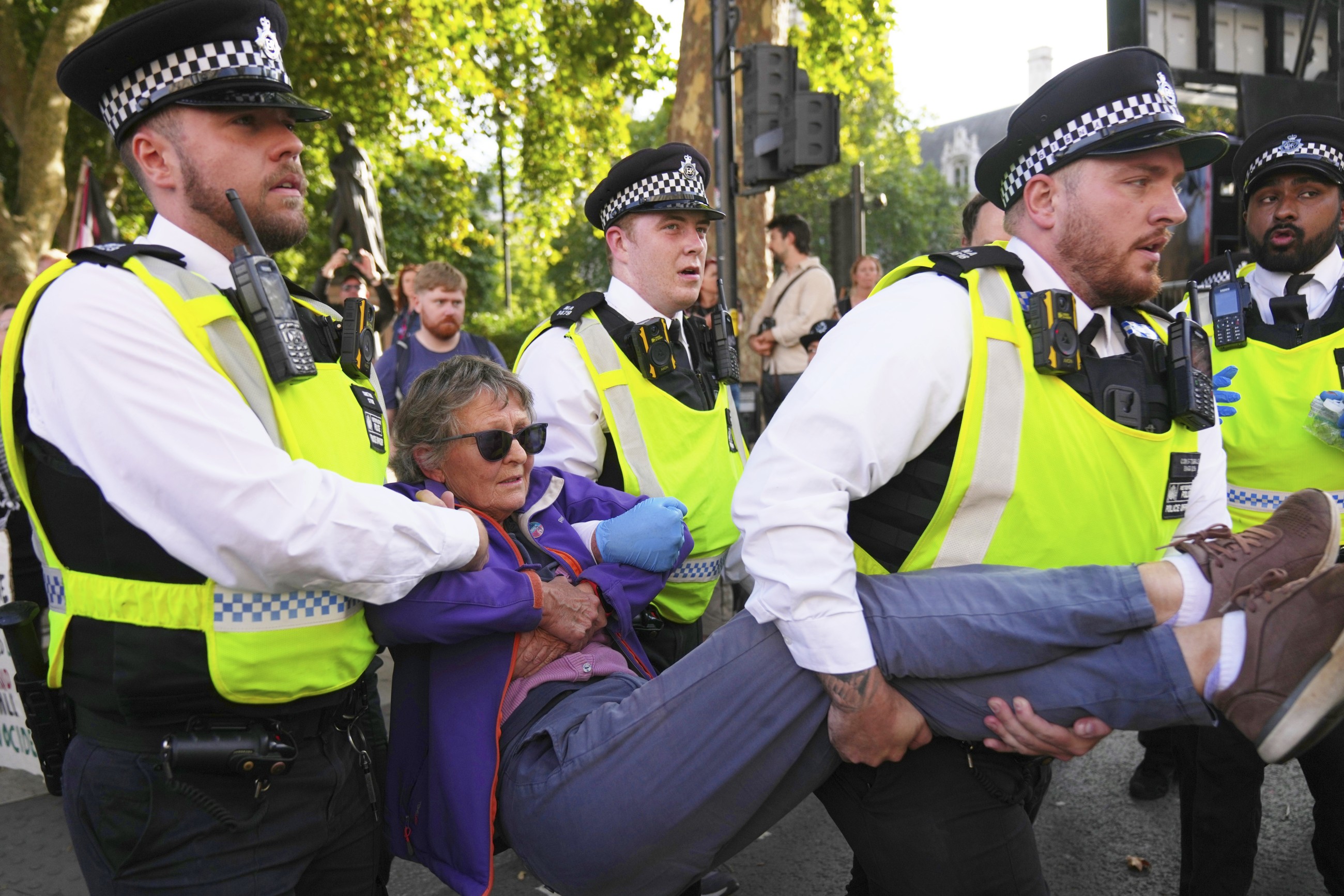 UK police arrest hundreds in latest Palestine Action demo