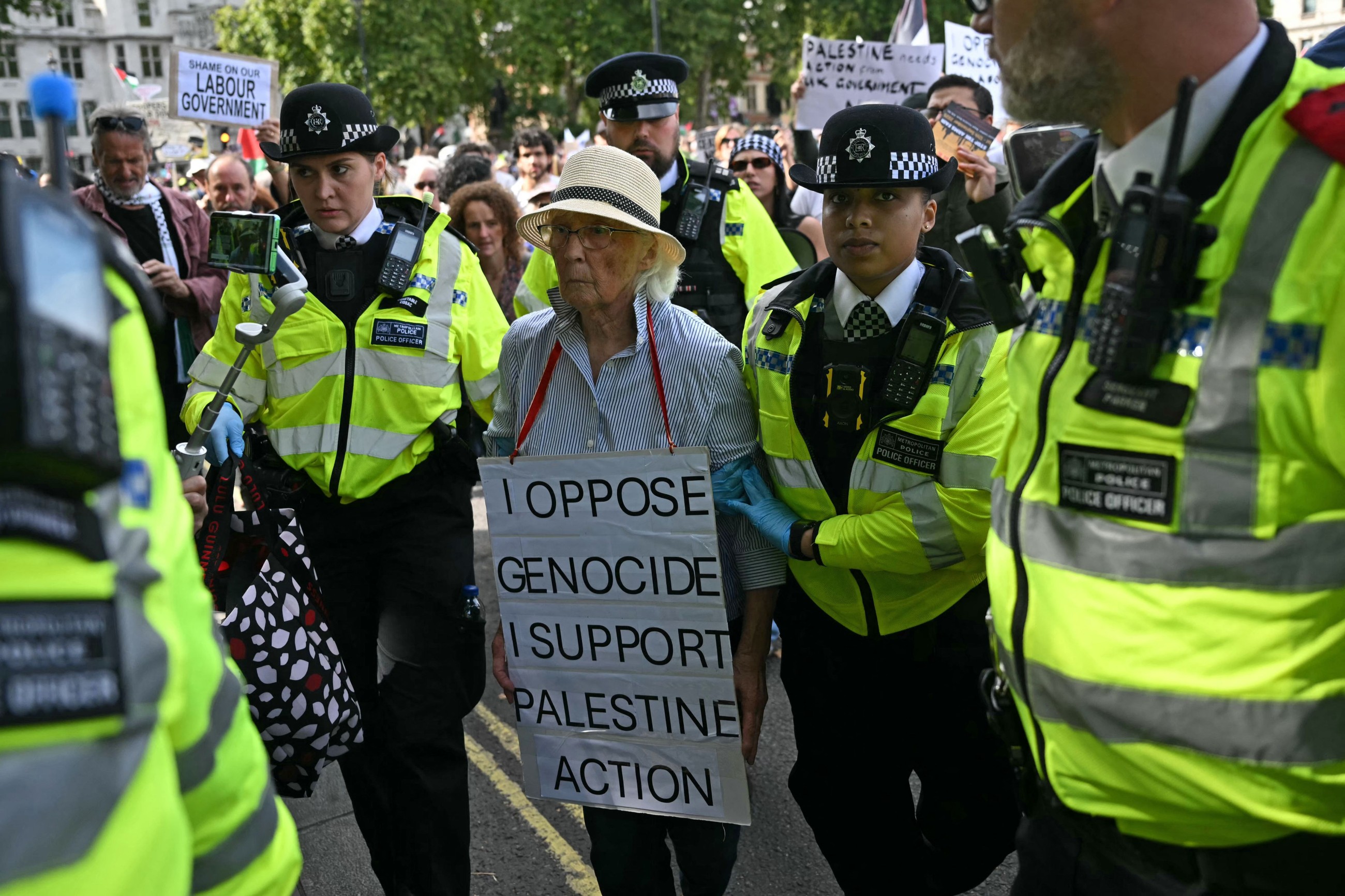 UK police arrest hundreds in latest Palestine Action demo